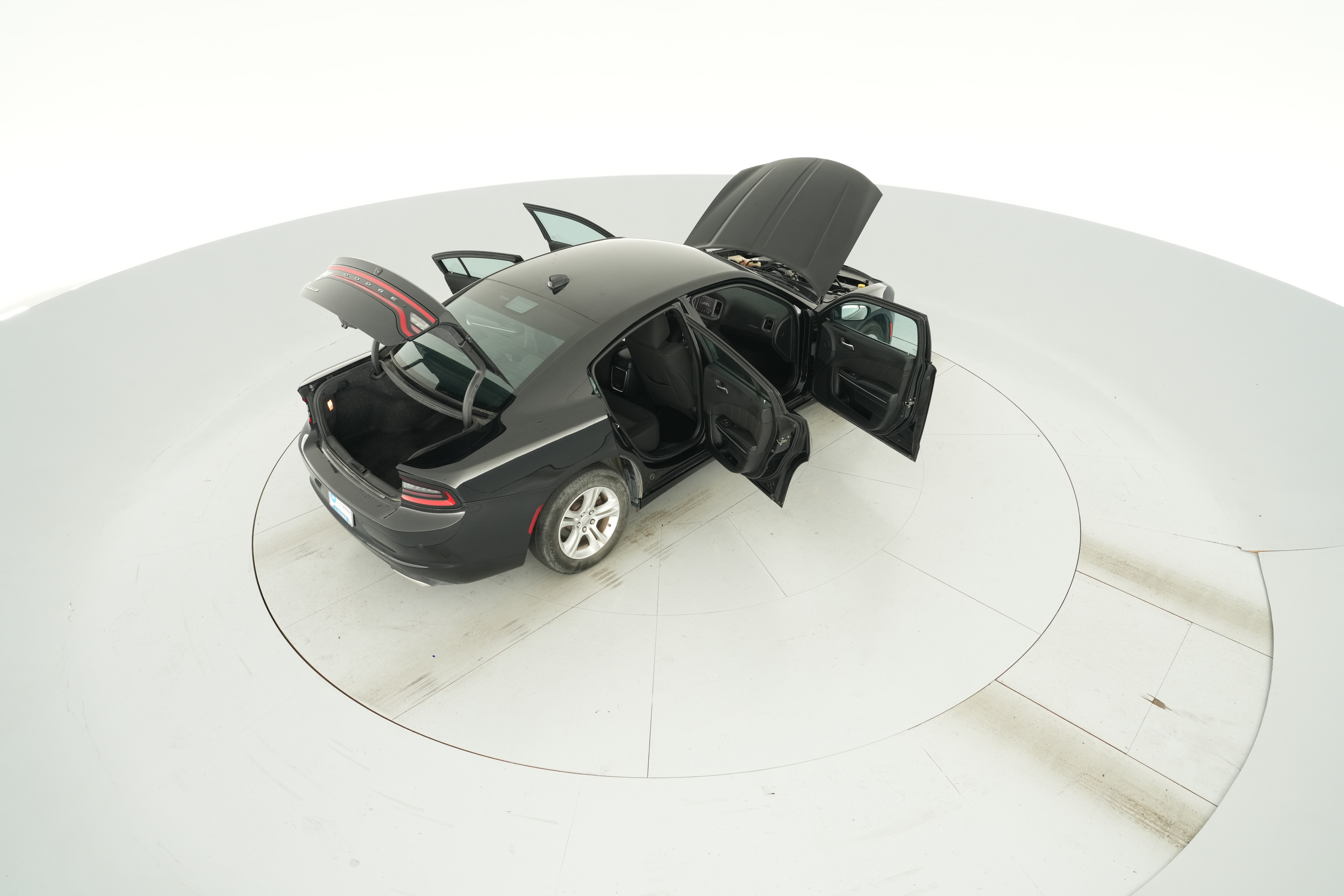 Photo 44