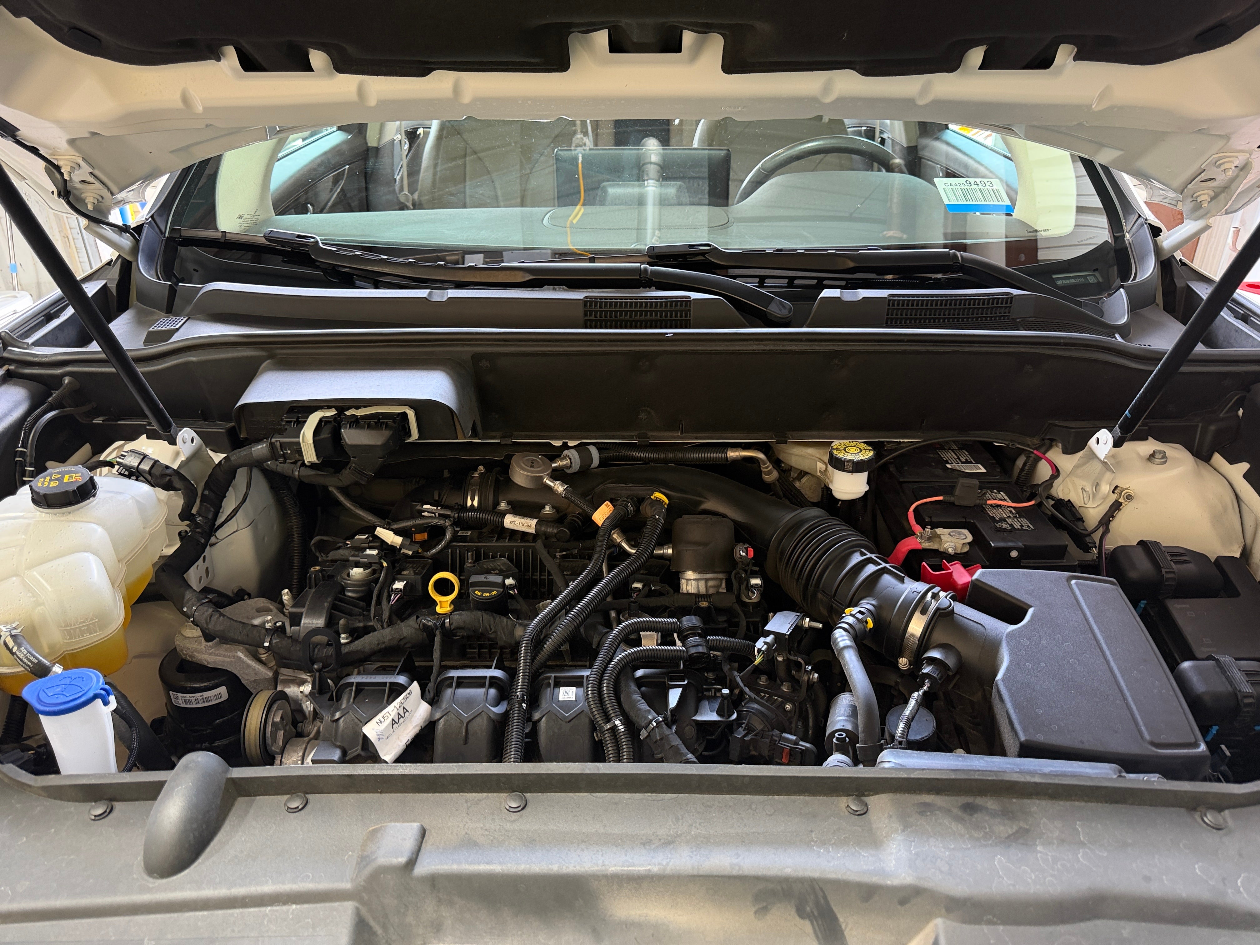 2LMPJ6J91NBL17111