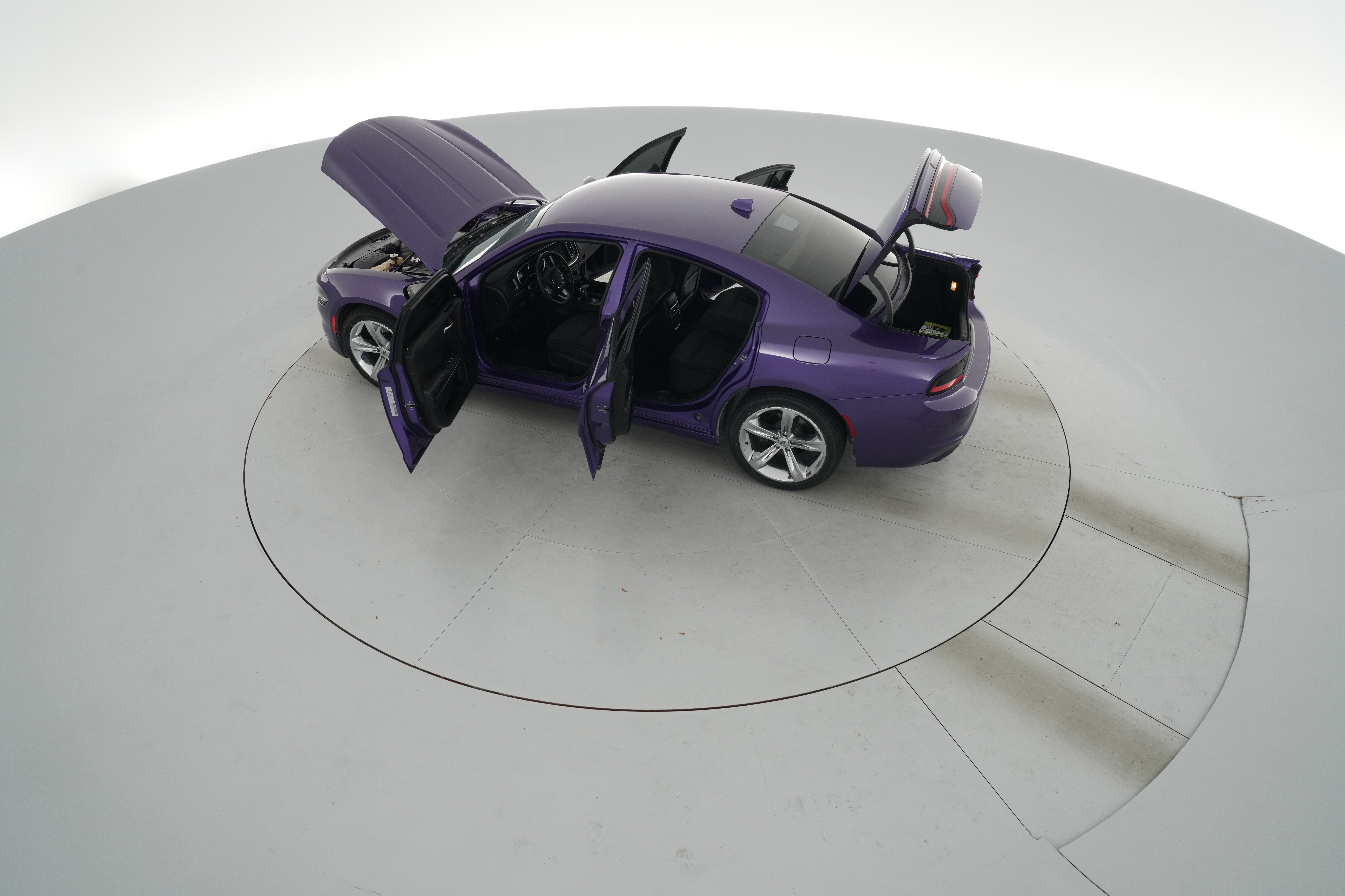 Photo 43