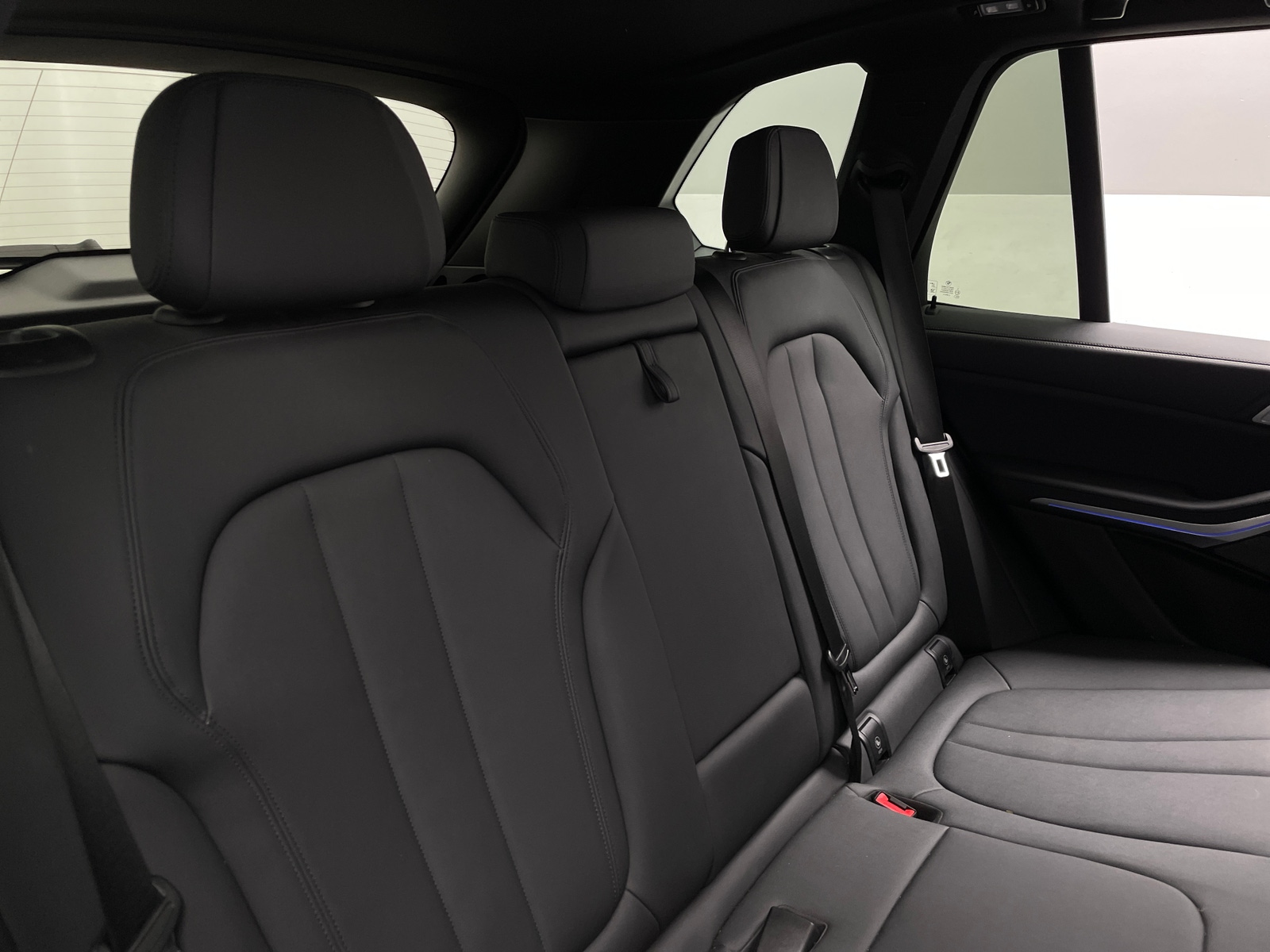 Thumbnail: 2019 BMW X5 - 5