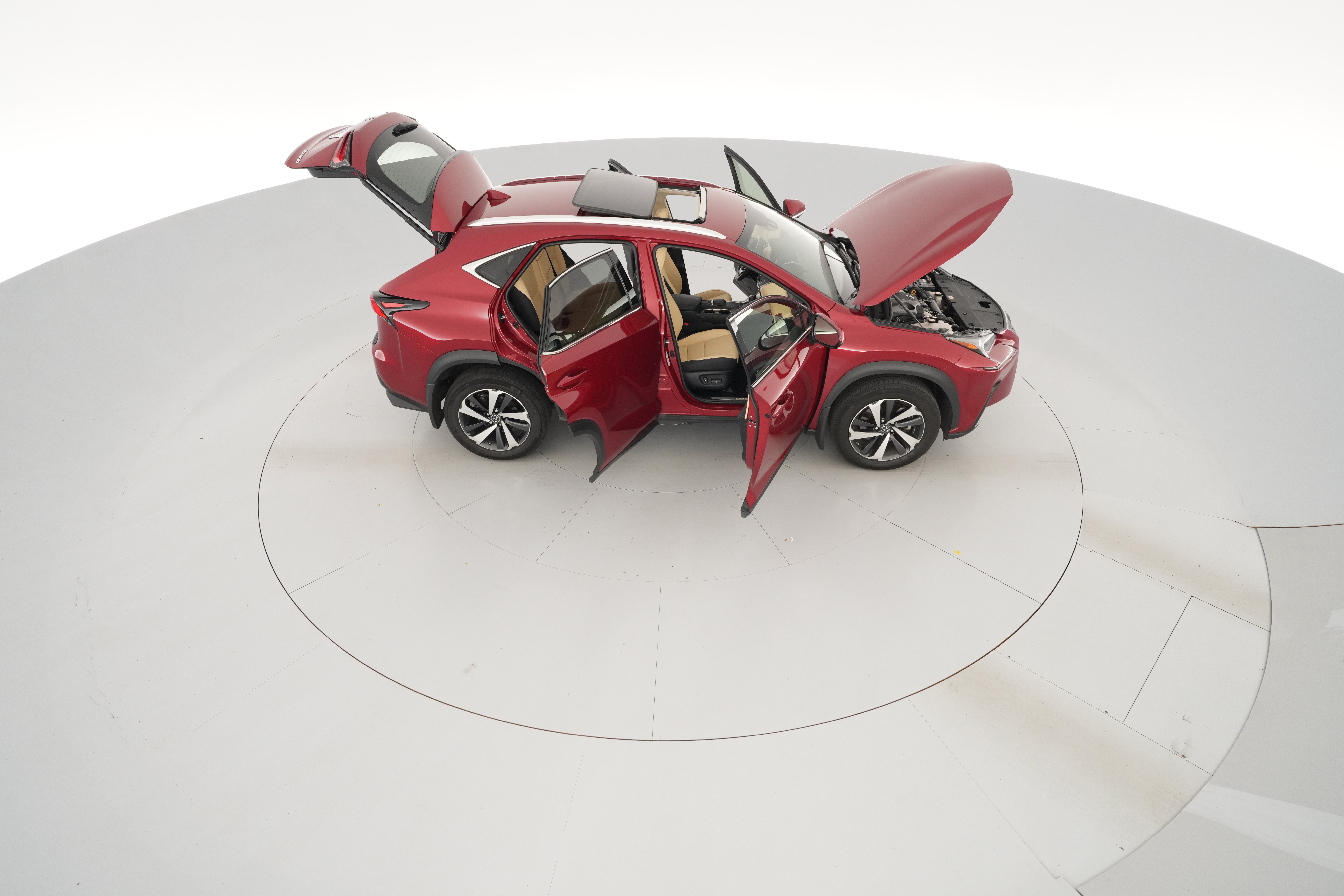 Photo 53