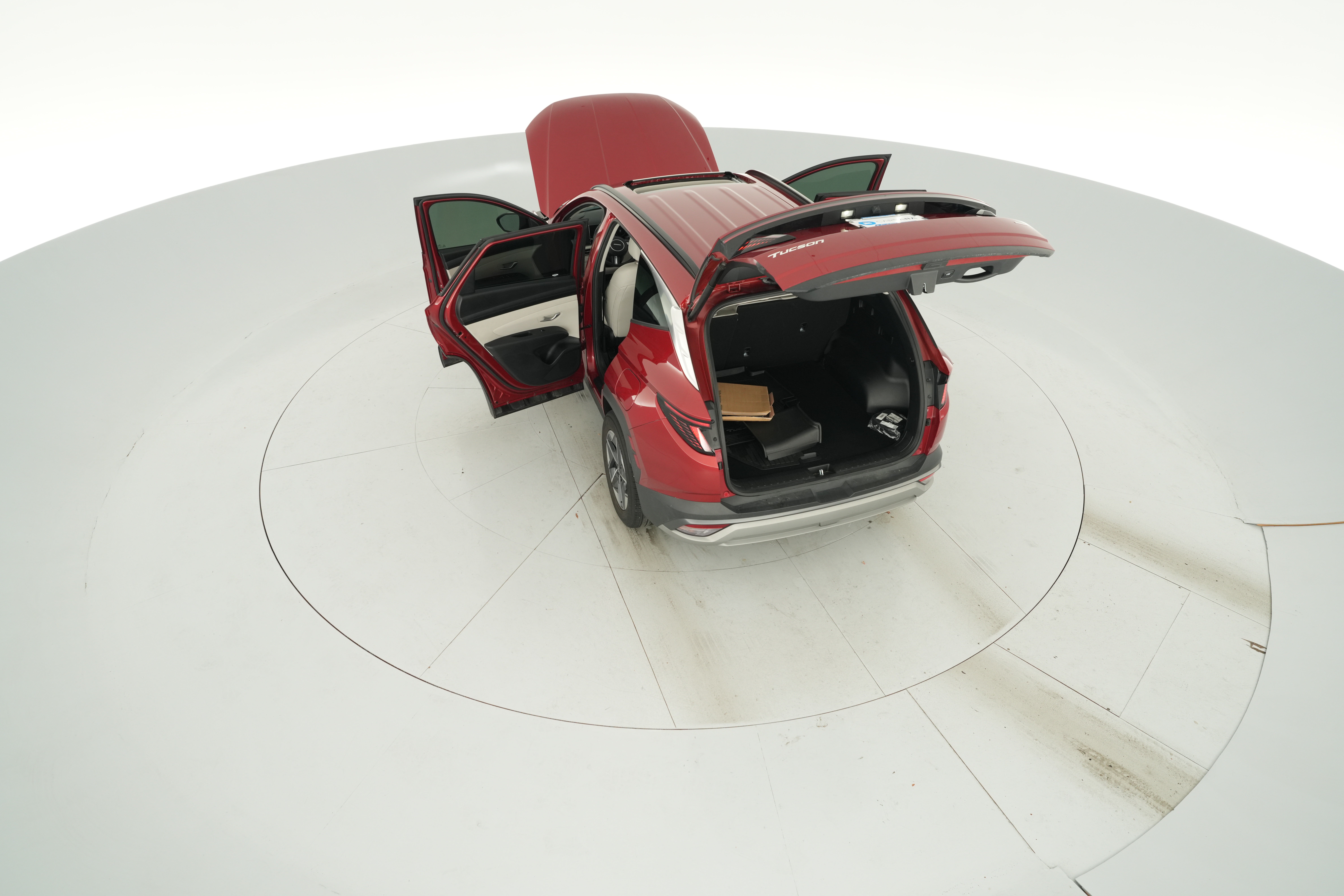 Photo 44