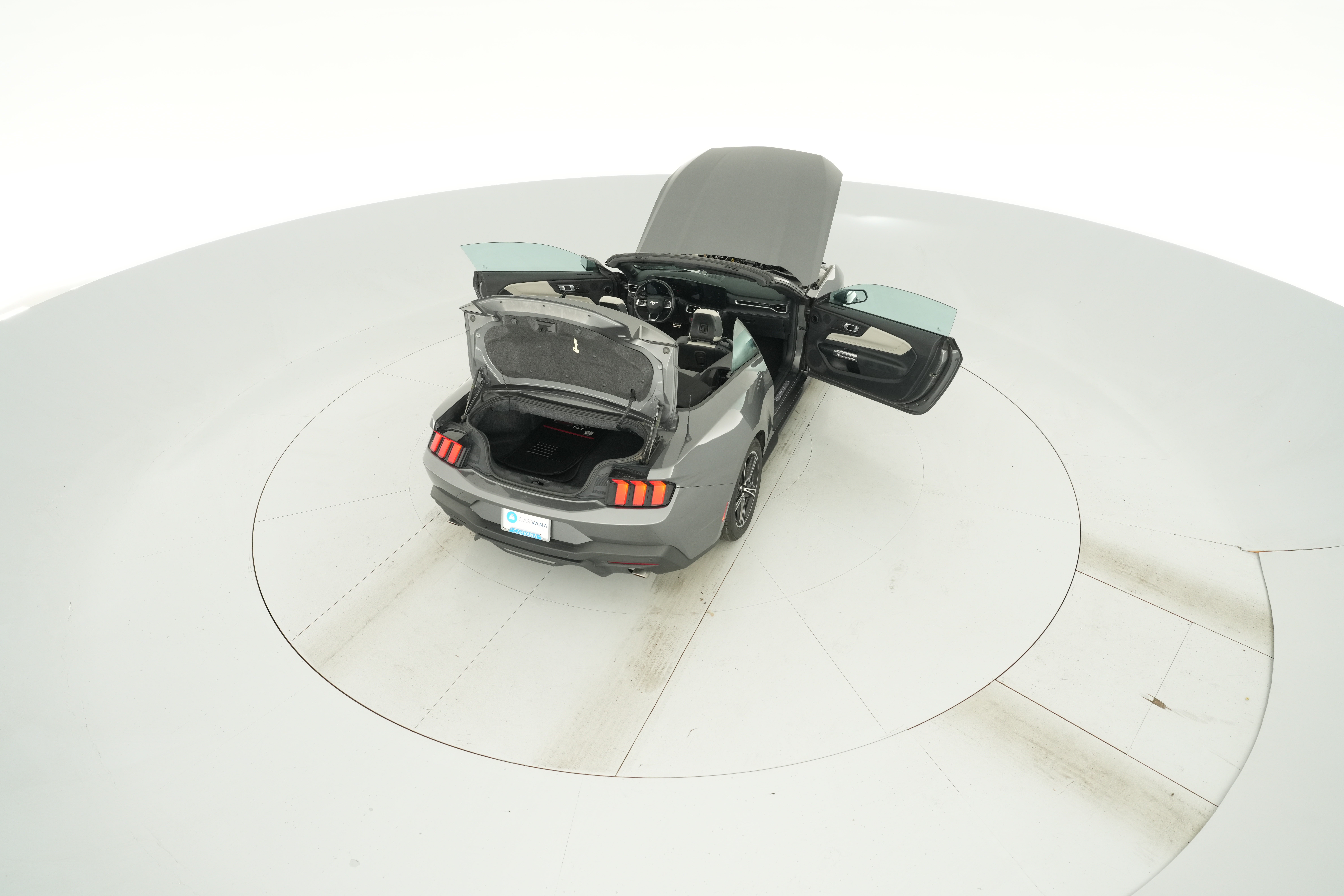 Photo 43
