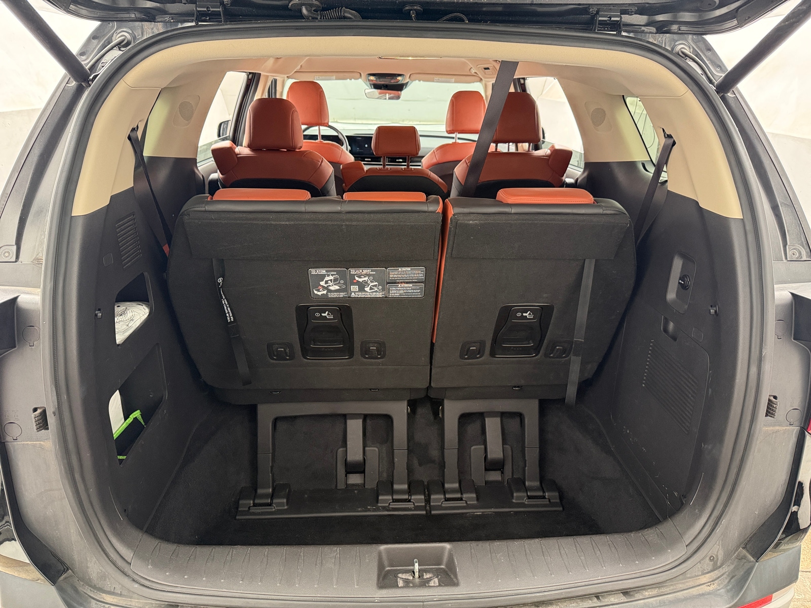 Thumbnail: 2025 Kia Carnival - 6
