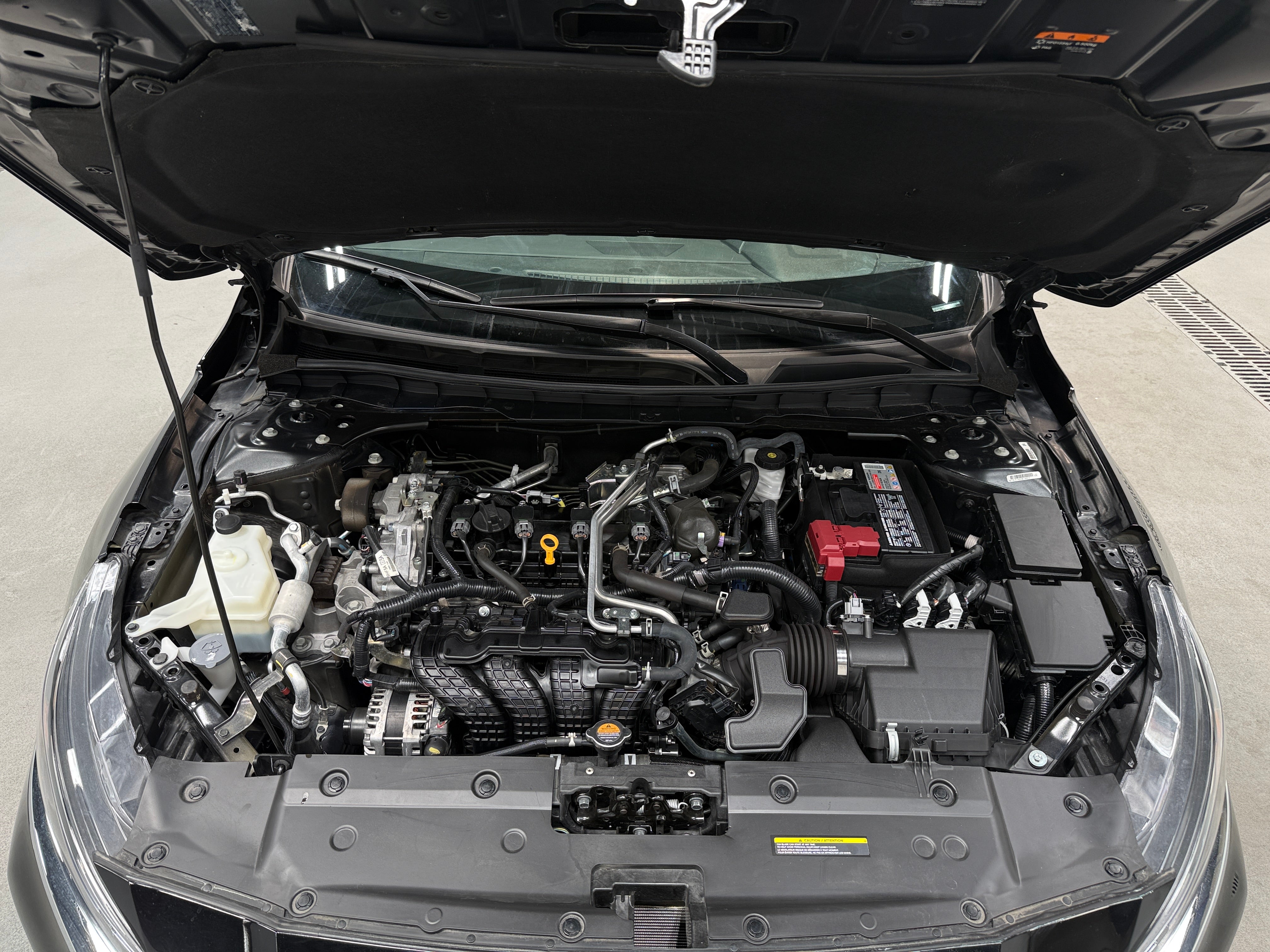 2025 Nissan Altima