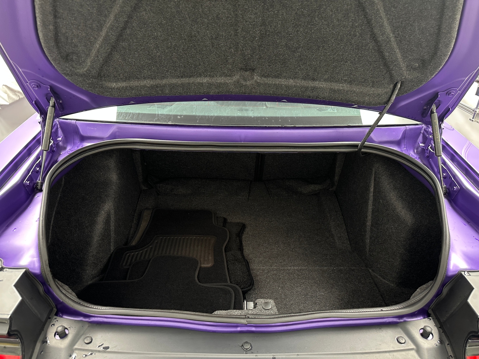 Thumbnail: 2019 Dodge Challenger - 4