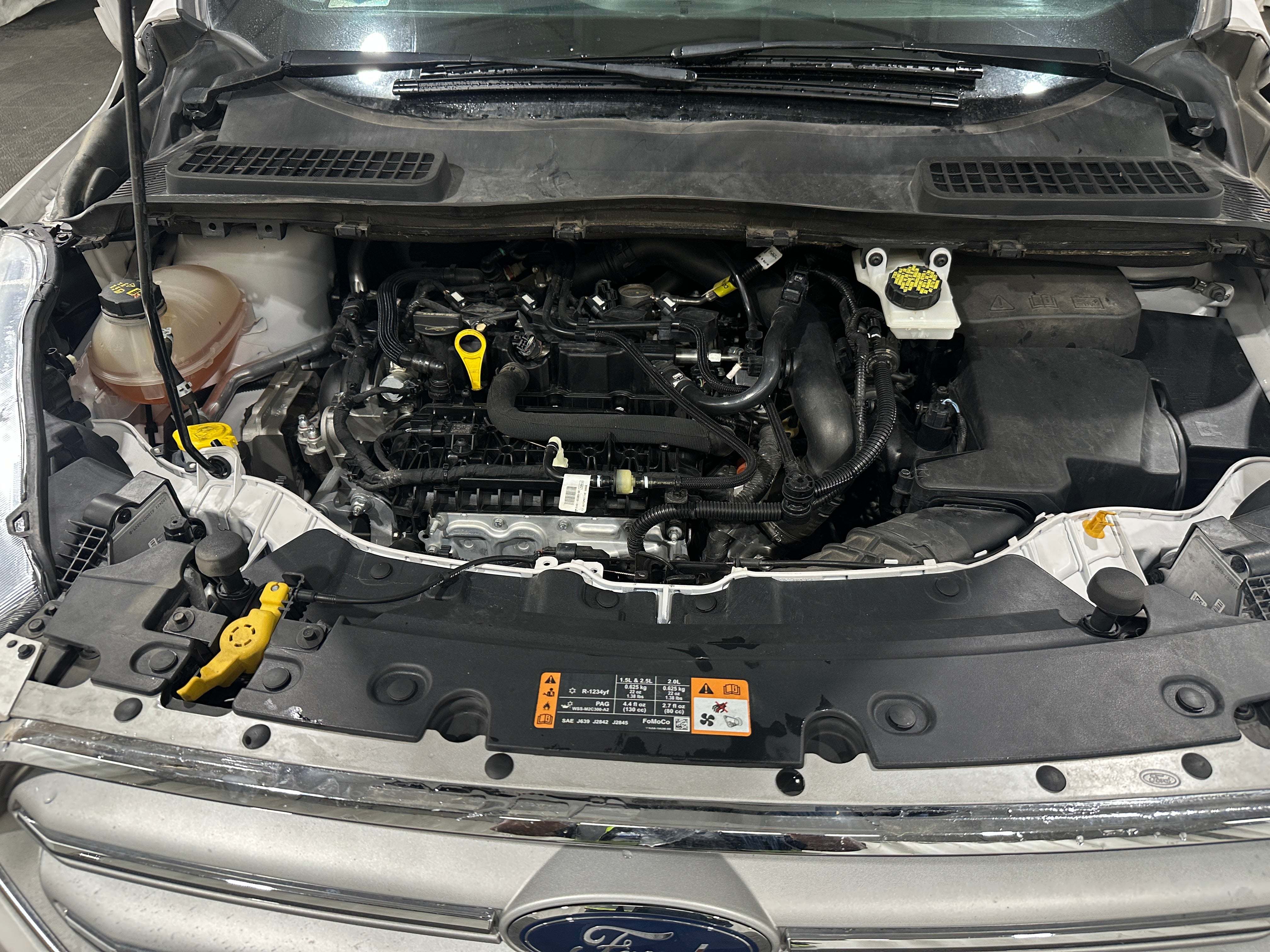 Used 2019 Ford Escape SEL with VIN 1FMCU9HD0KUA42060 for sale in Pewaukee, WI
