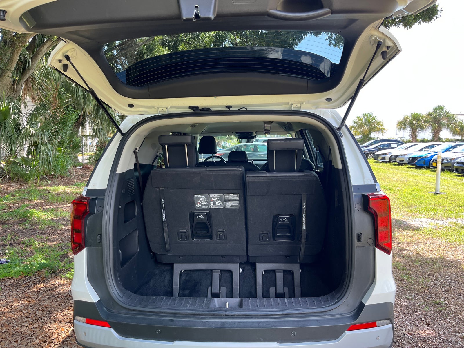 Thumbnail: 2026 Kia Carnival - 5
