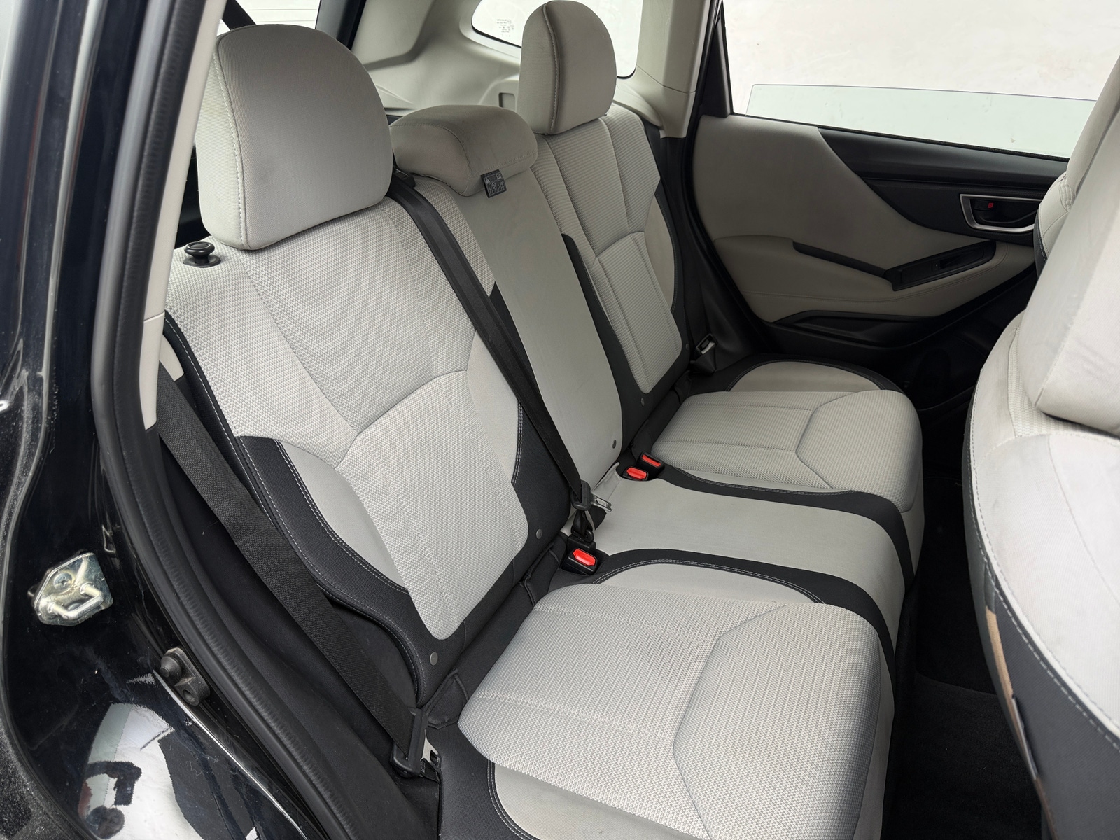 Thumbnail: 2019 Subaru Forester - 6
