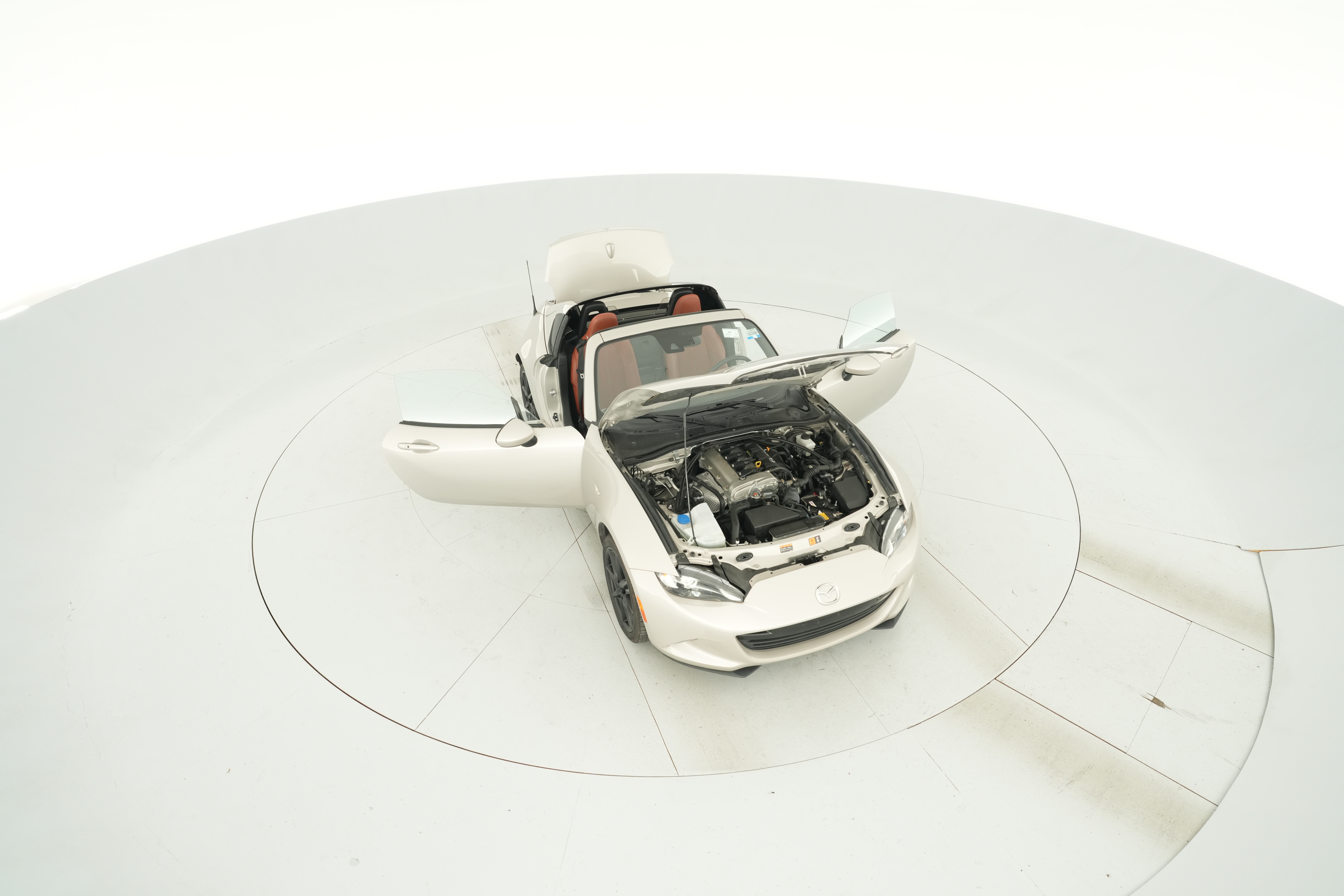 Photo 50