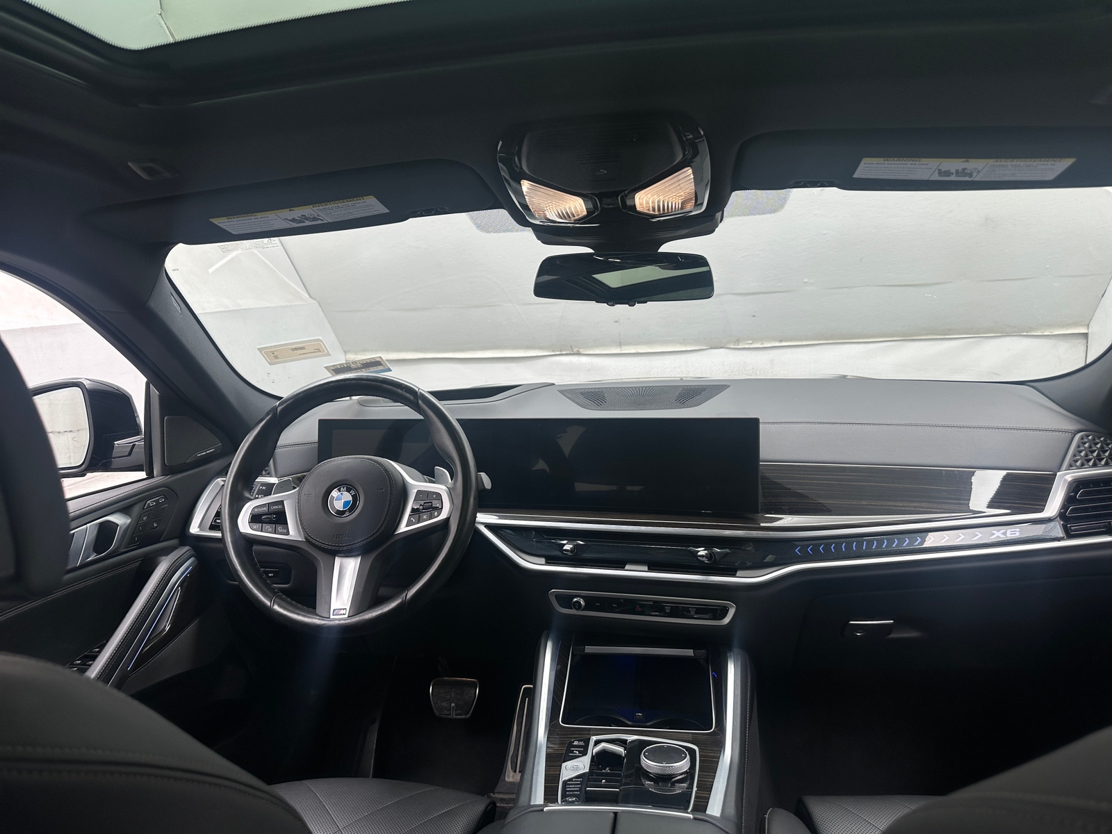 Thumbnail: 2025 BMW X6 - 2