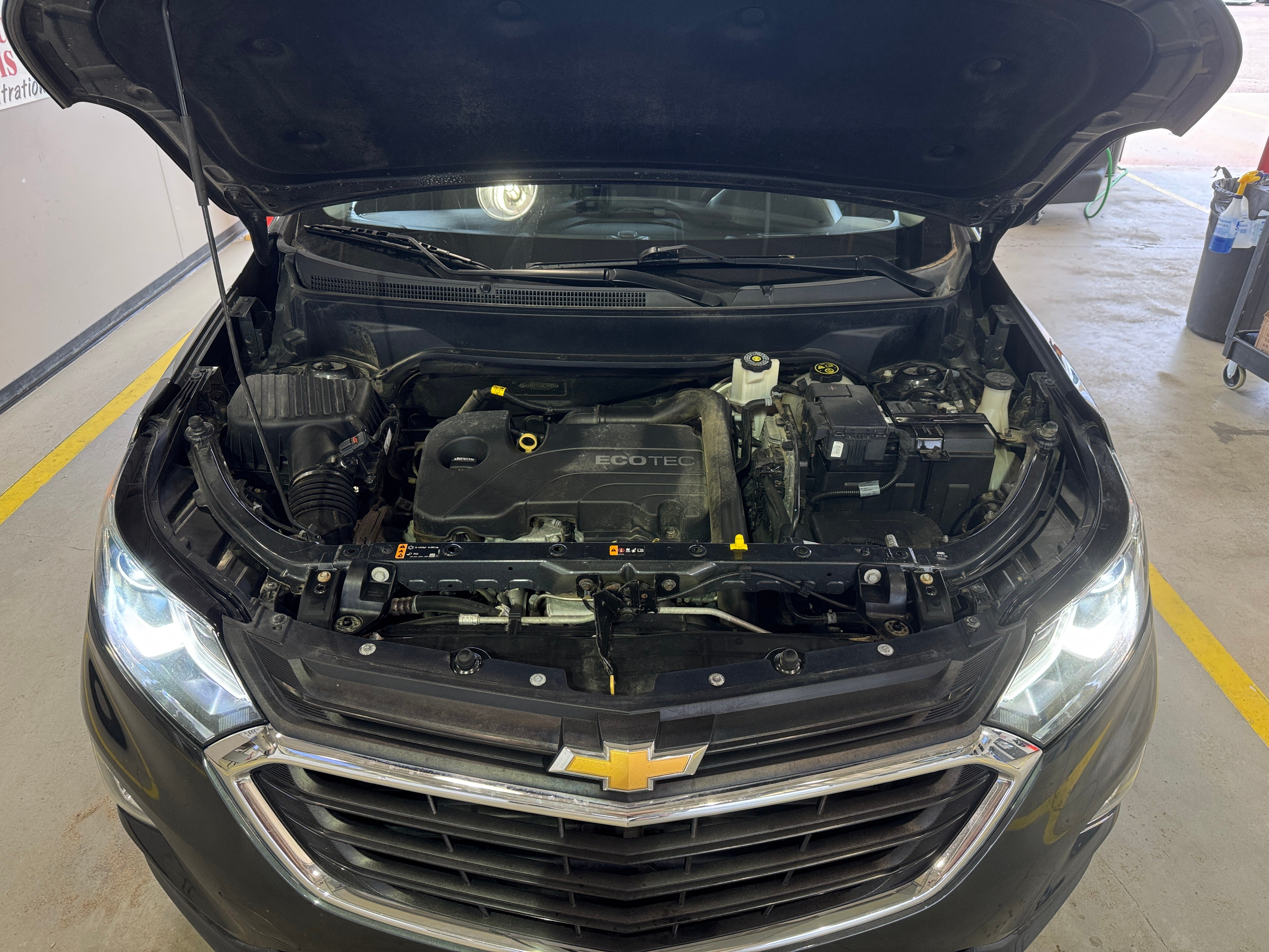 Used 2019 Chevrolet Equinox 2FL with VIN 2GNAXTEV1K6265856 for sale in South Chesterfield, VA