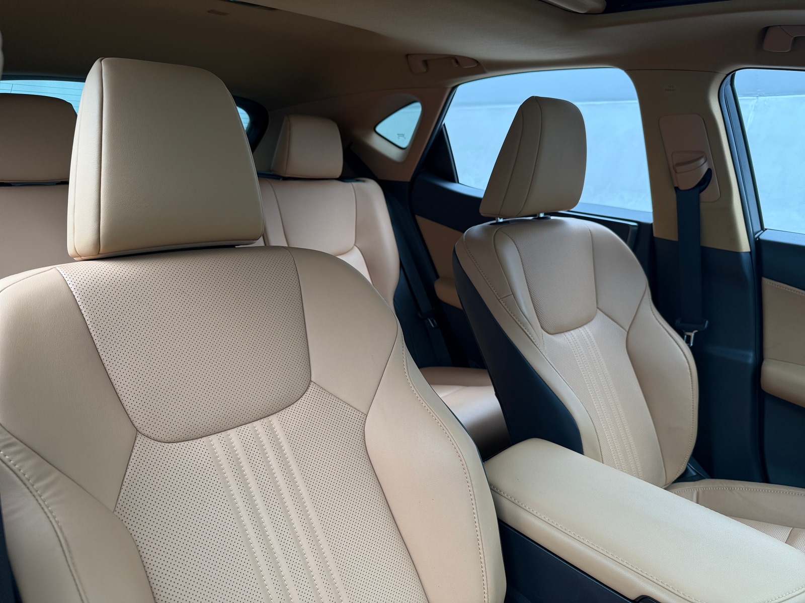 Thumbnail: 2024 Lexus NX - 2
