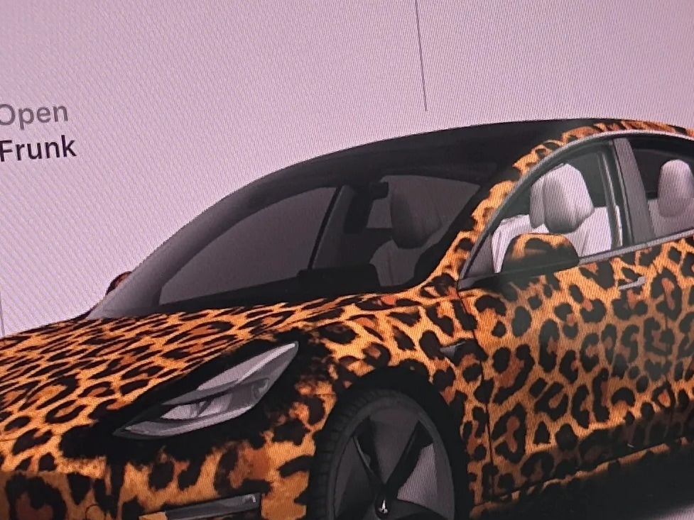 Thumbnail: 2022 Tesla Model 3 - 3