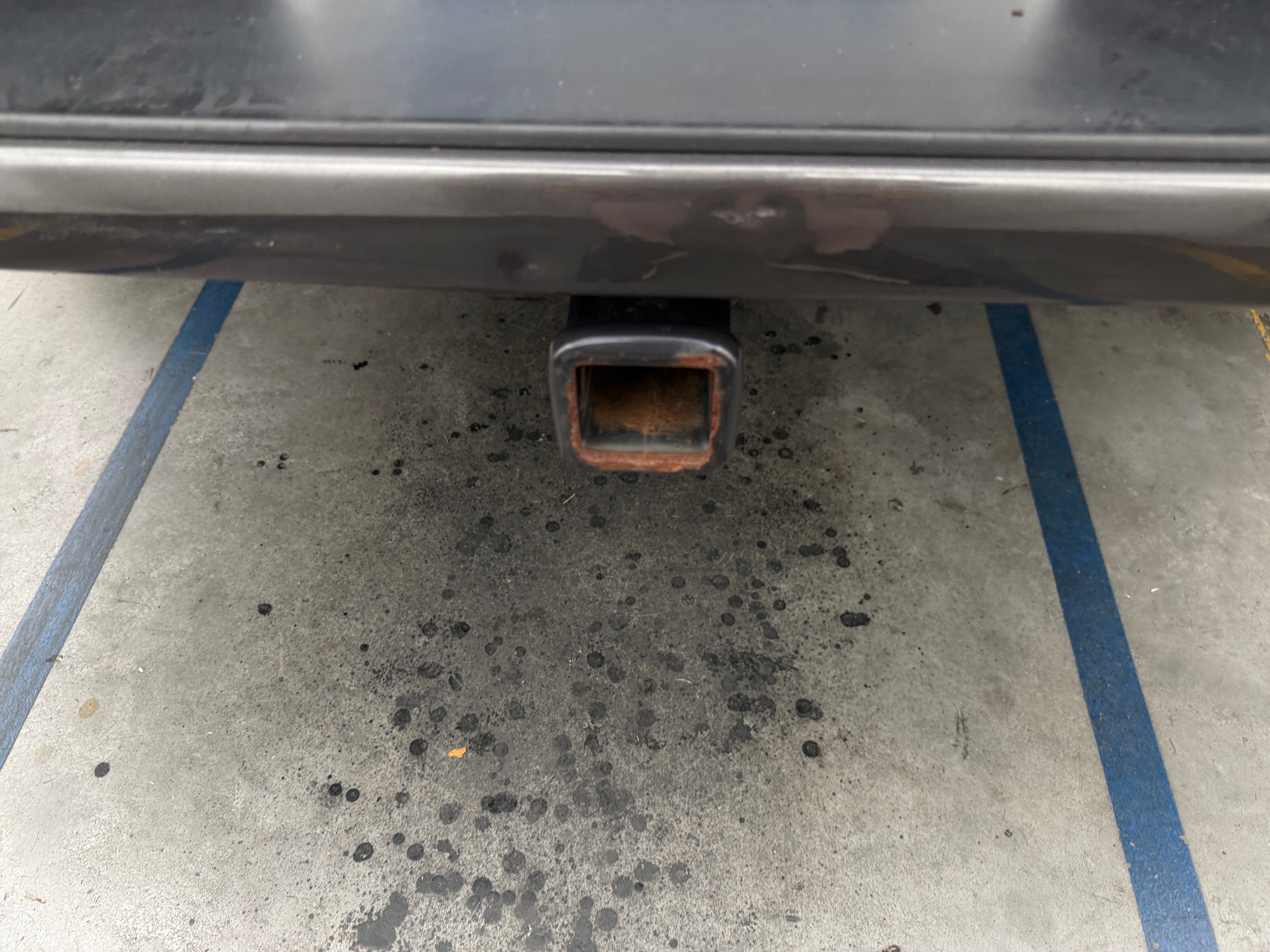 1C6SRFFT0MN617093