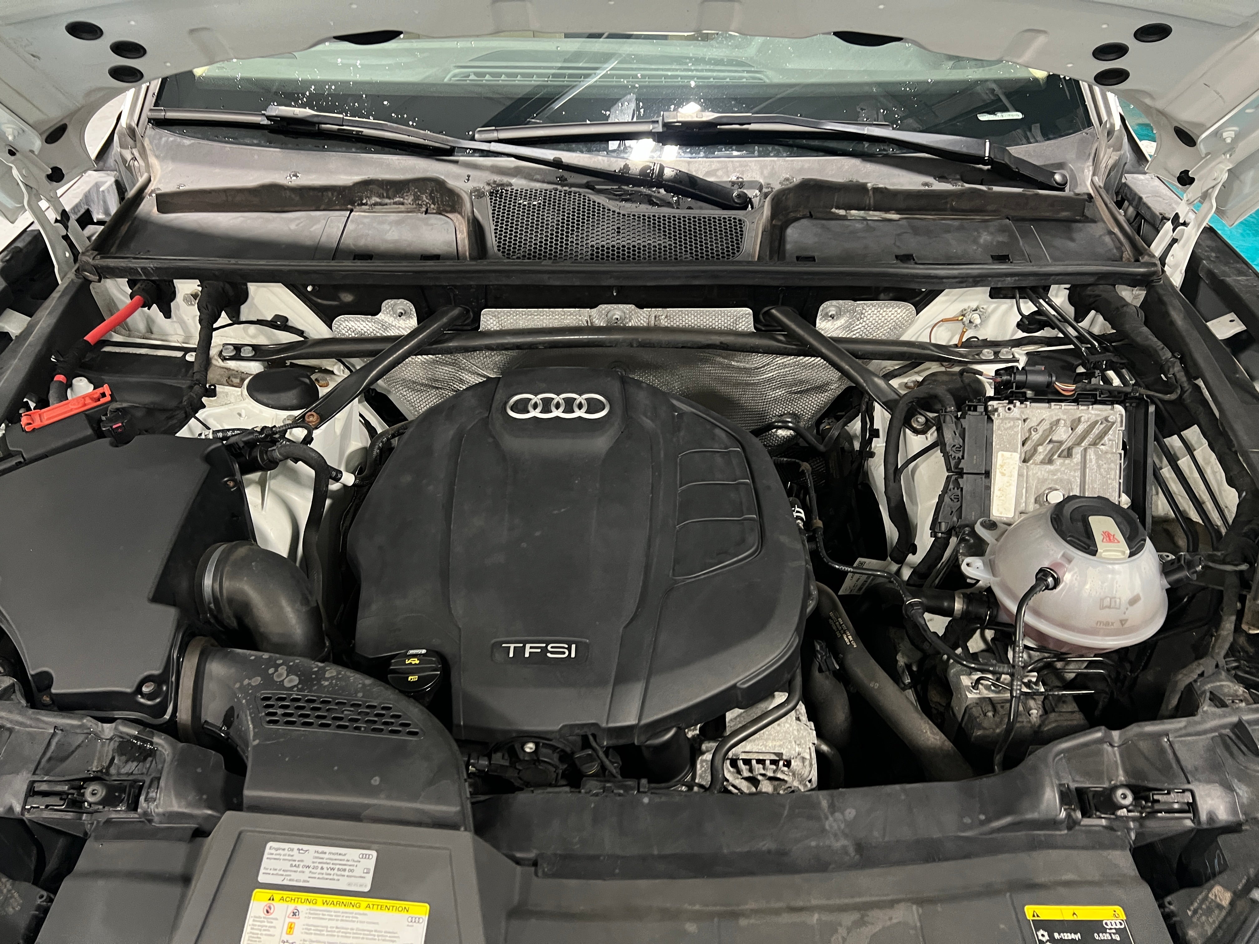 2019 Audi Q5