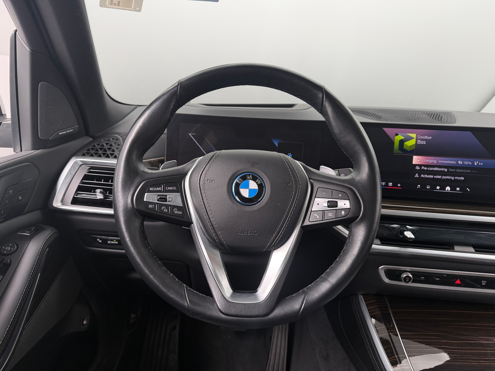 Thumbnail: 2025 BMW X5 - 4