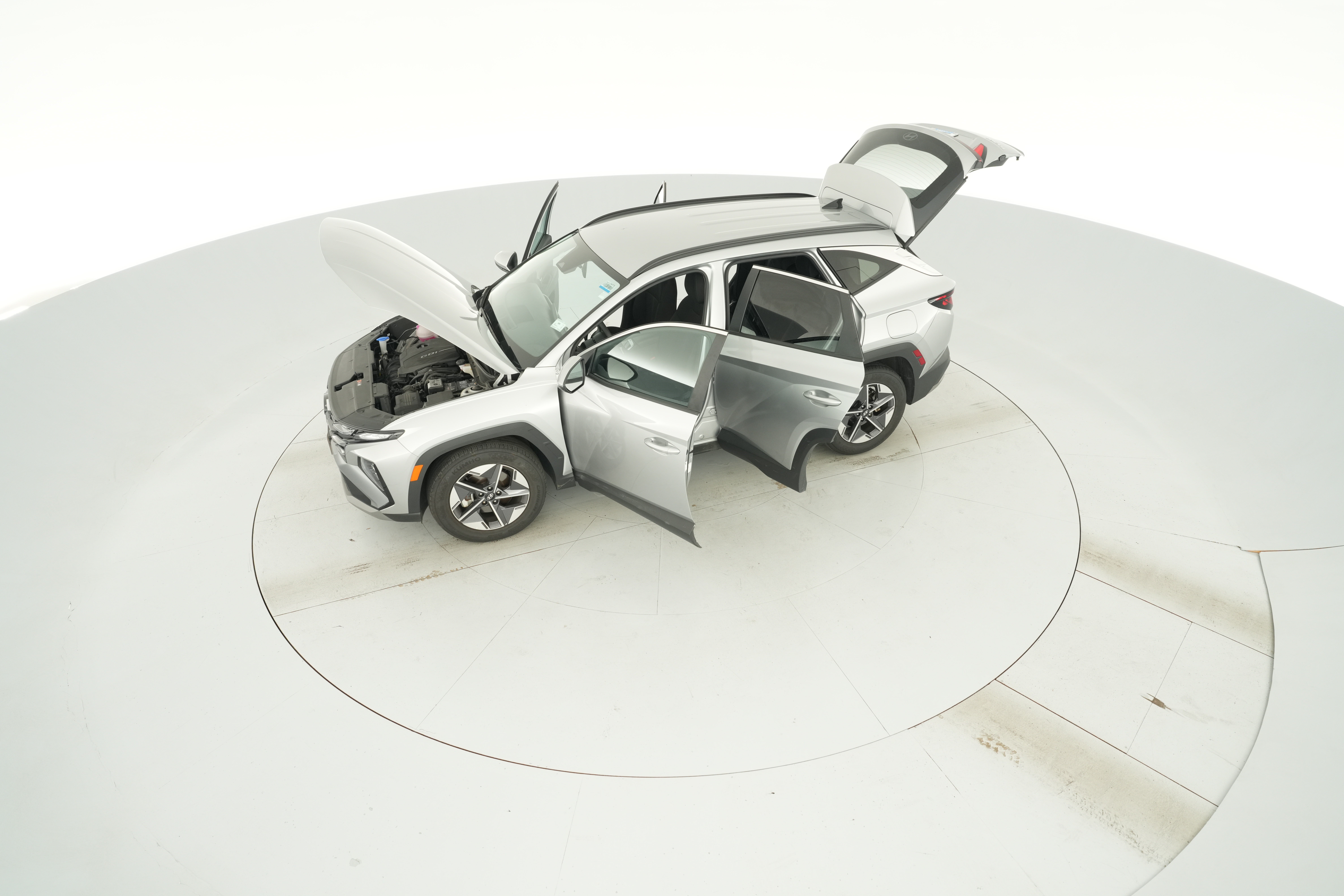 Photo 44