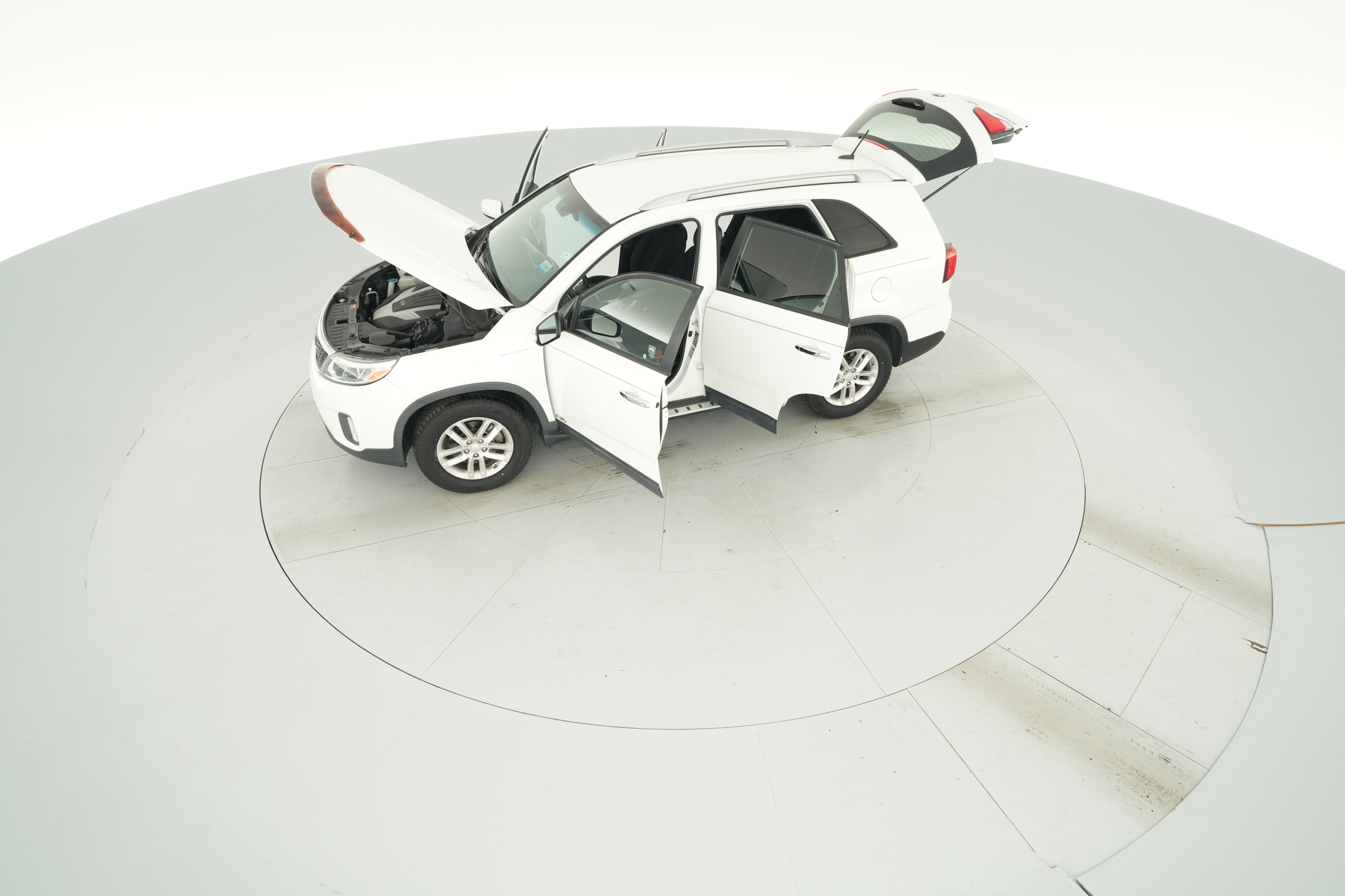 Photo 44