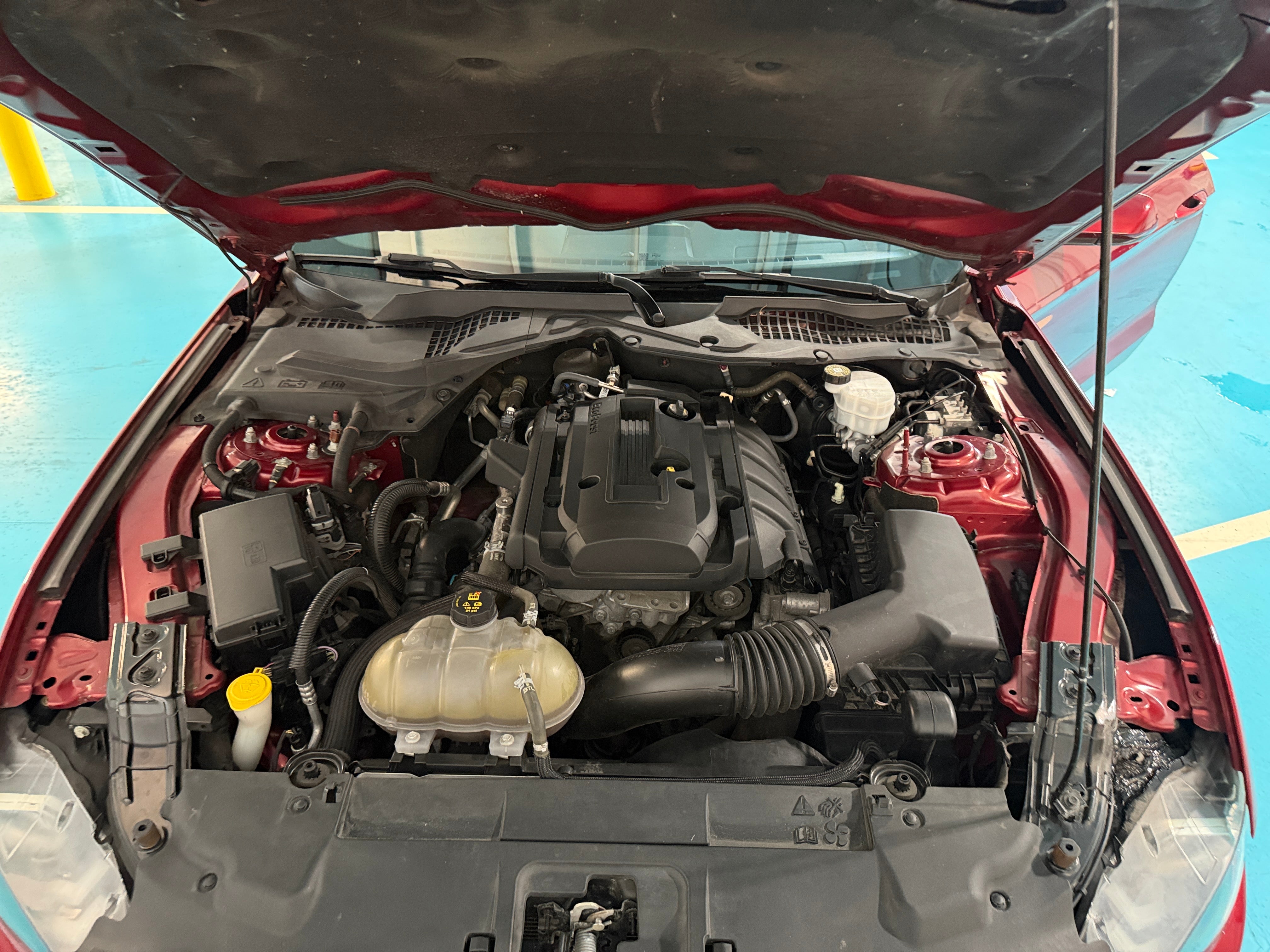 2019 Ford Mustang