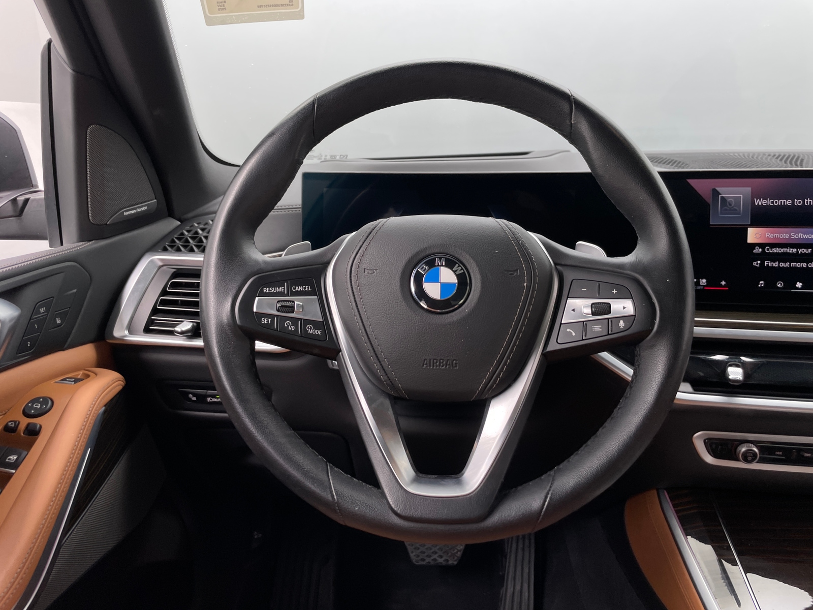 Thumbnail: 2025 BMW X5 - 4