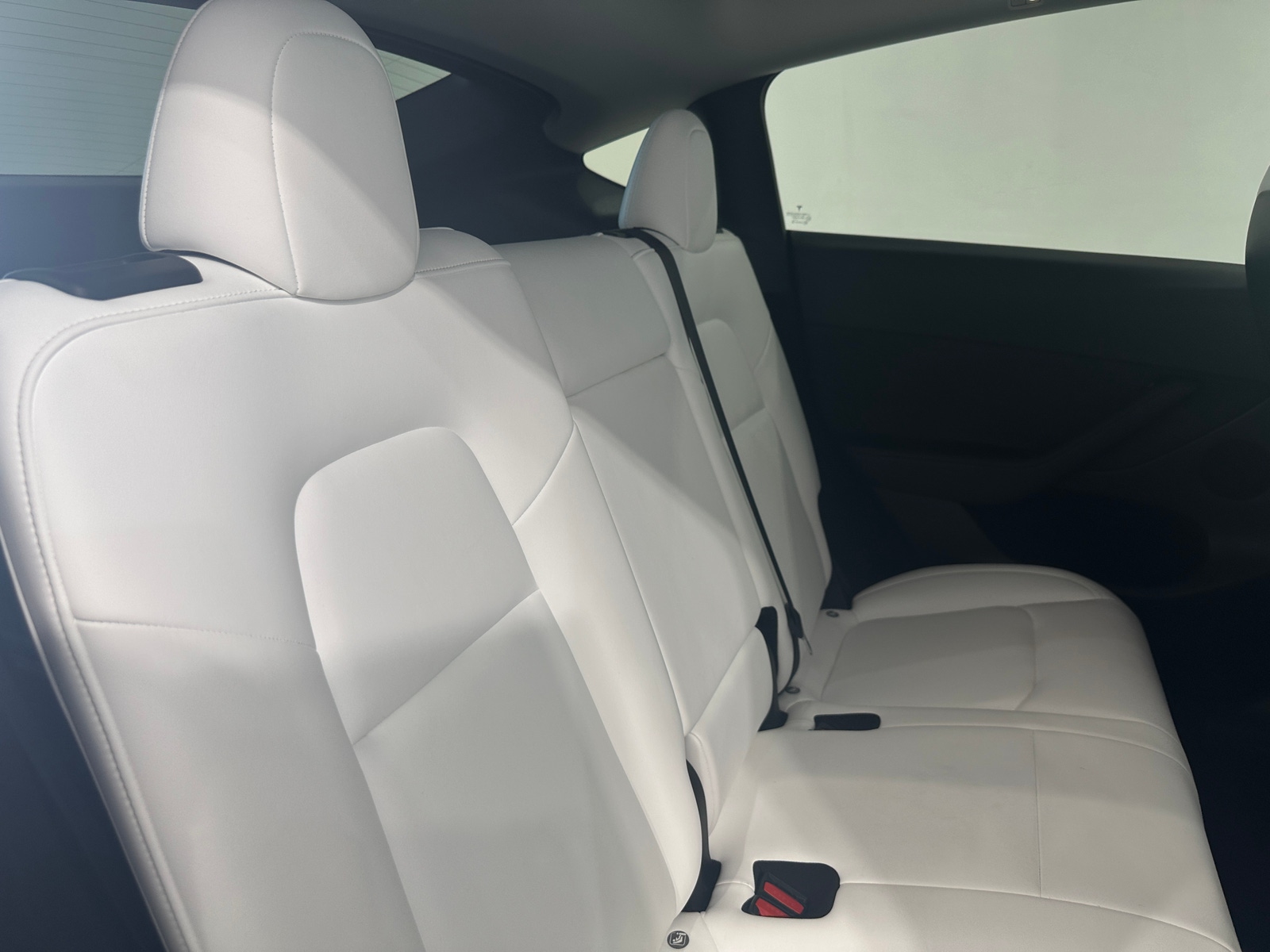 Thumbnail: 2023 Tesla Model Y - 5