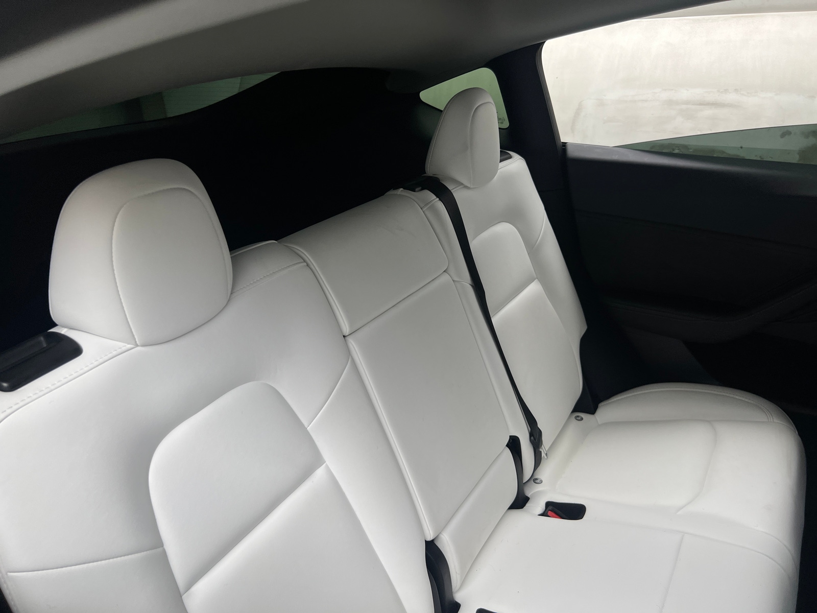Thumbnail: 2022 Tesla Model Y - 5