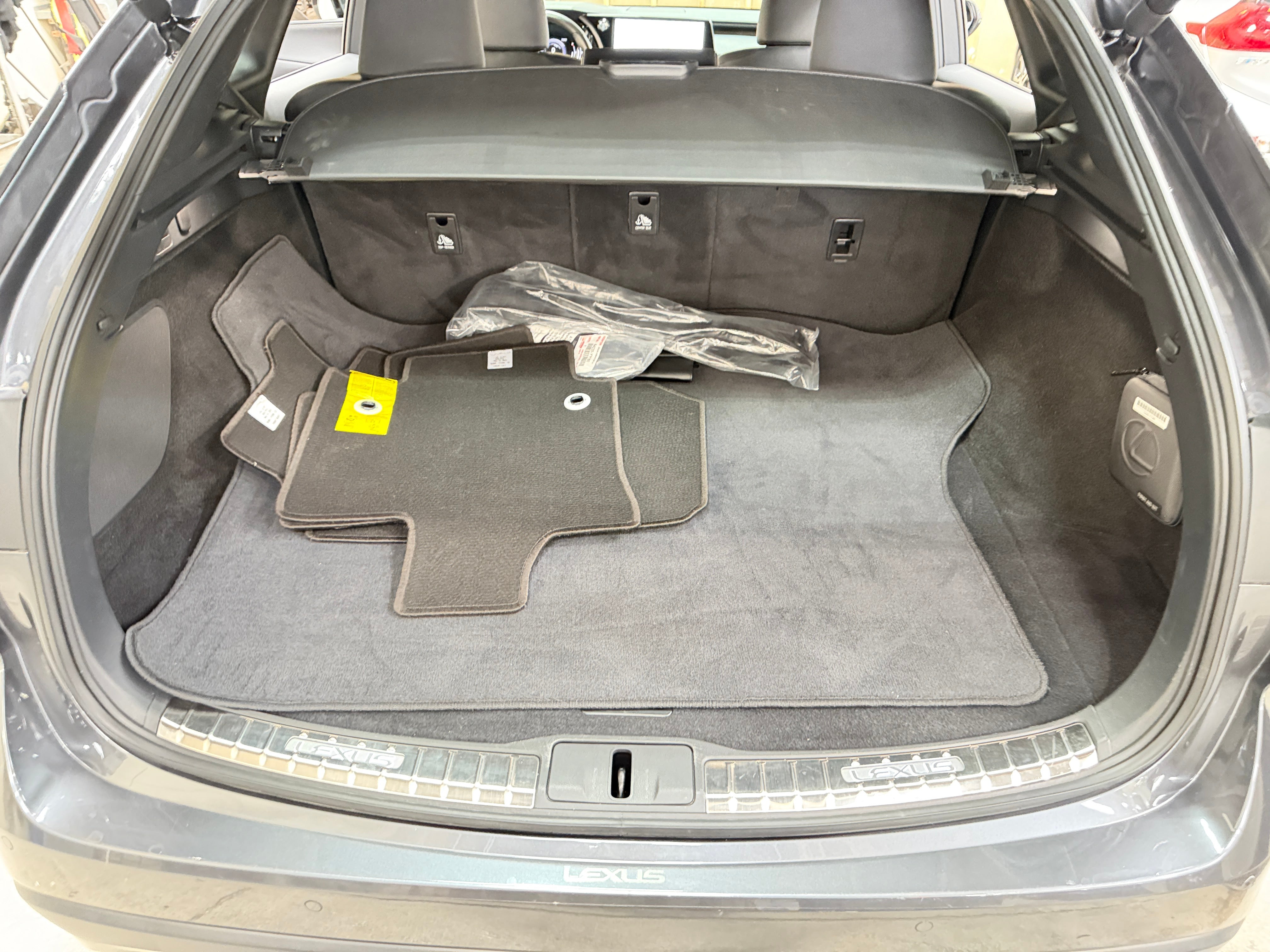 2024 Lexus RX Hybrid 350h
