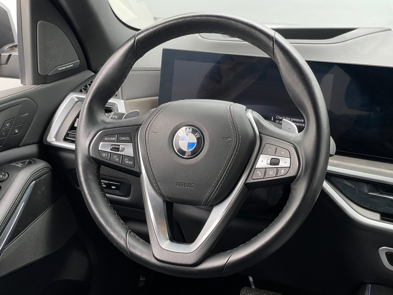 Thumbnail: 2025 BMW X5 - 4