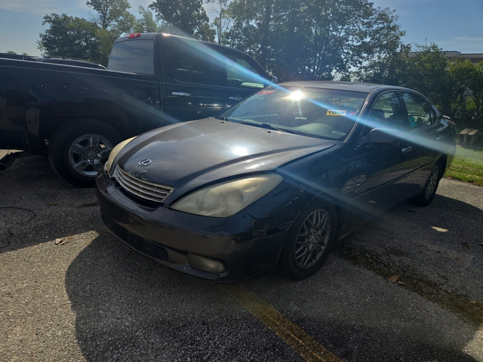 2004 Lexus ES 330 Car