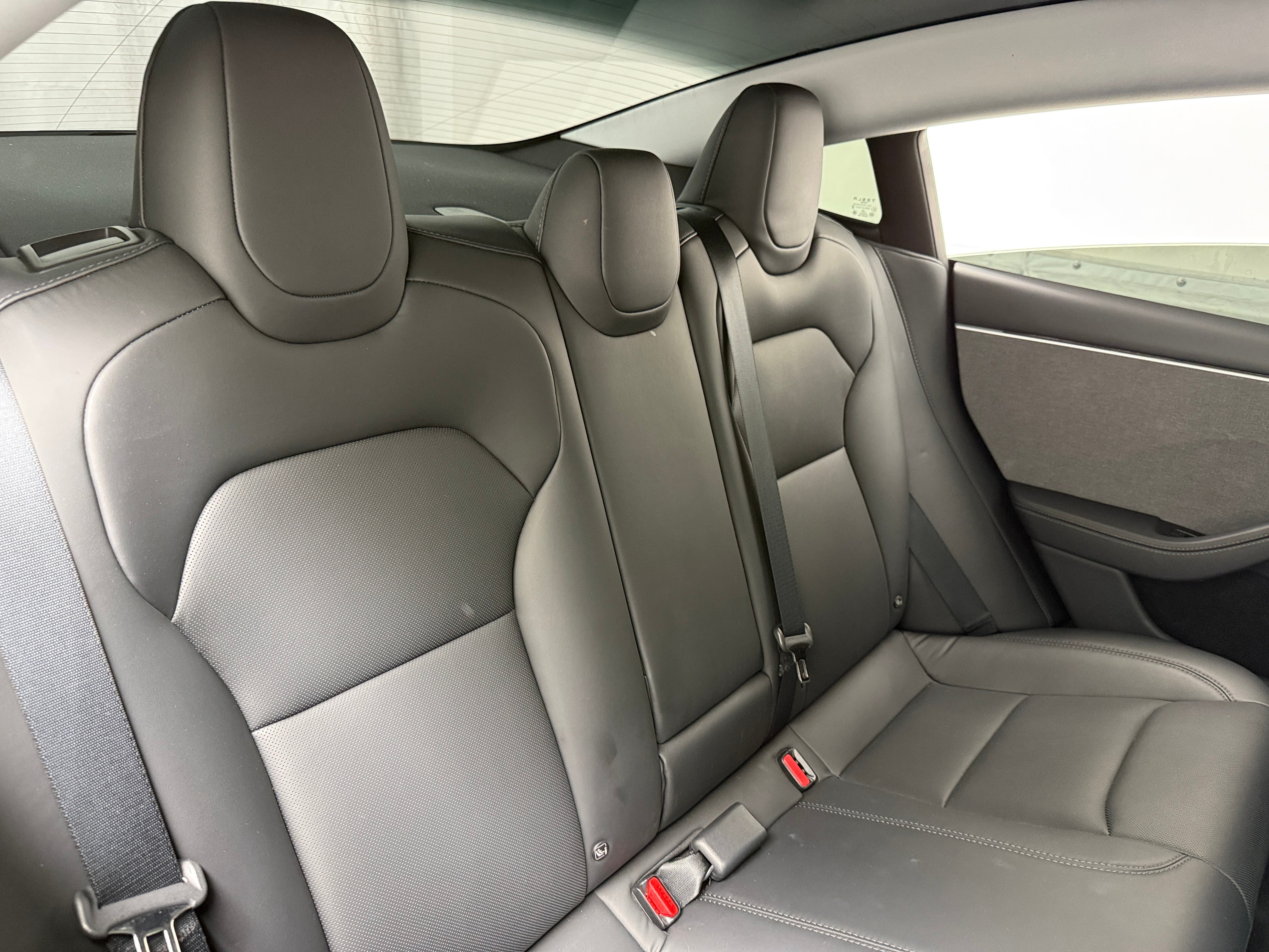 Used 2025 Tesla Model 3 Long Range with VIN 5YJ3E1EAXSF005572 for sale in Pewaukee, WI