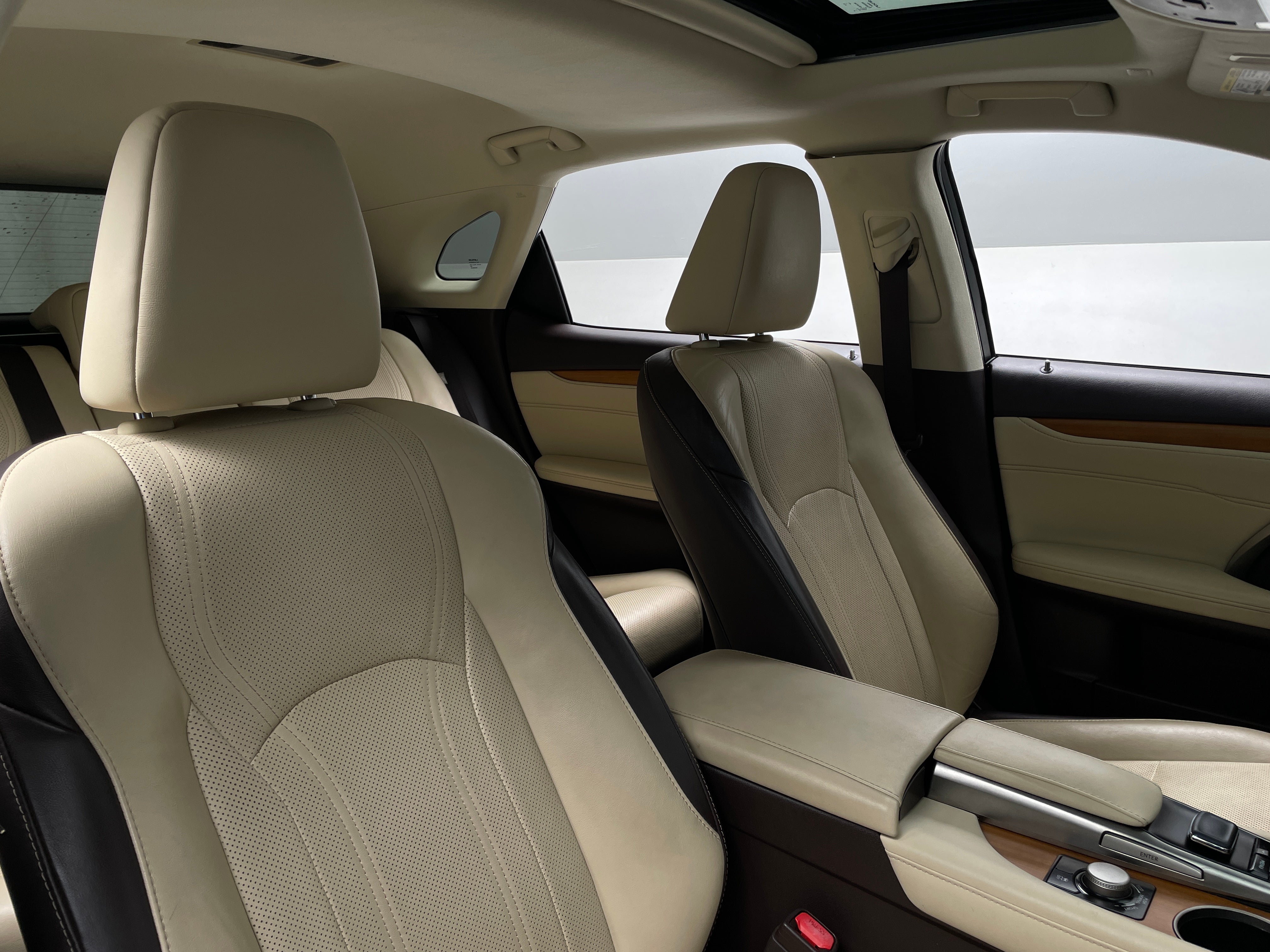 2019 Lexus RX