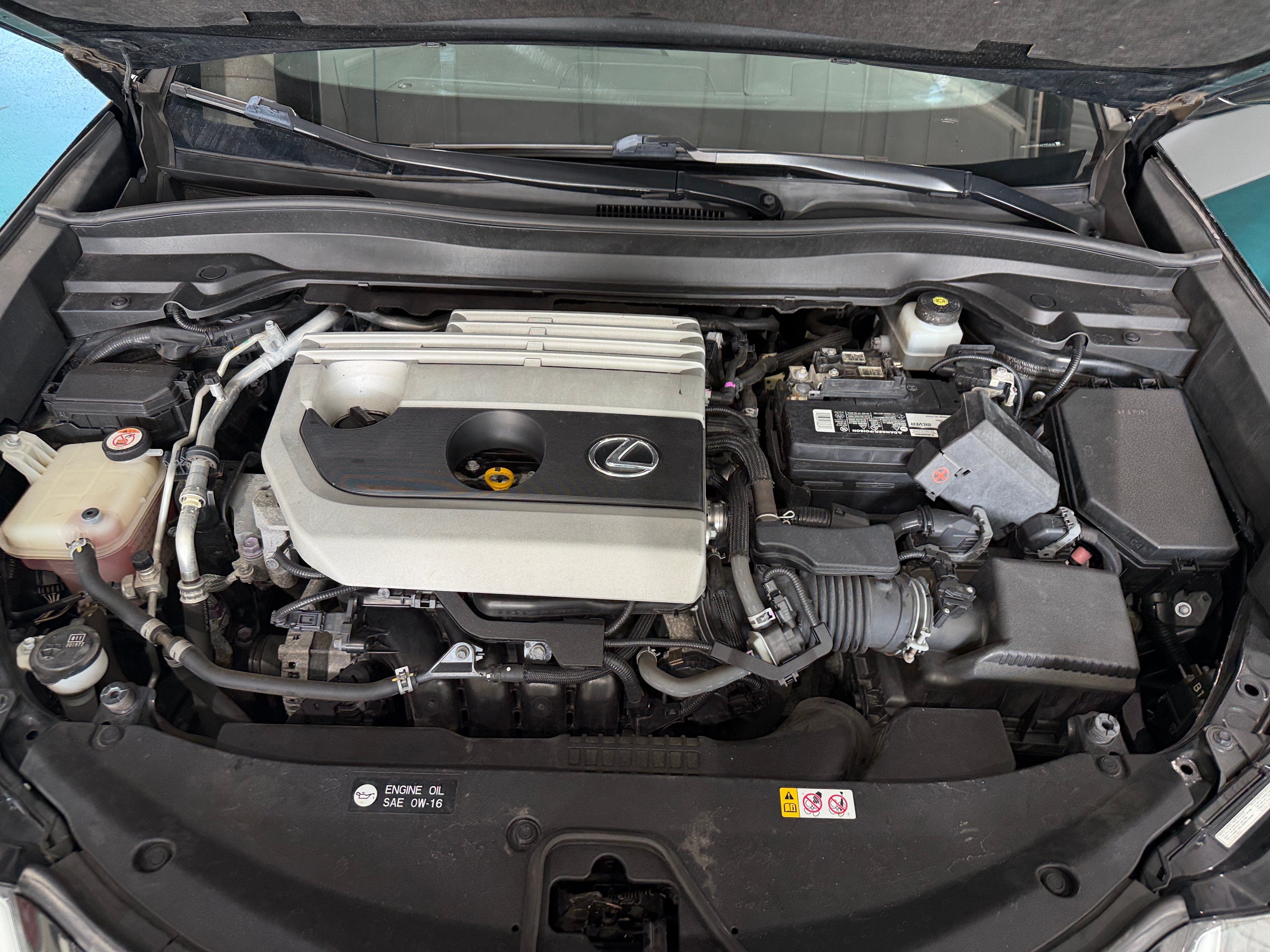 2019 Lexus UX 200