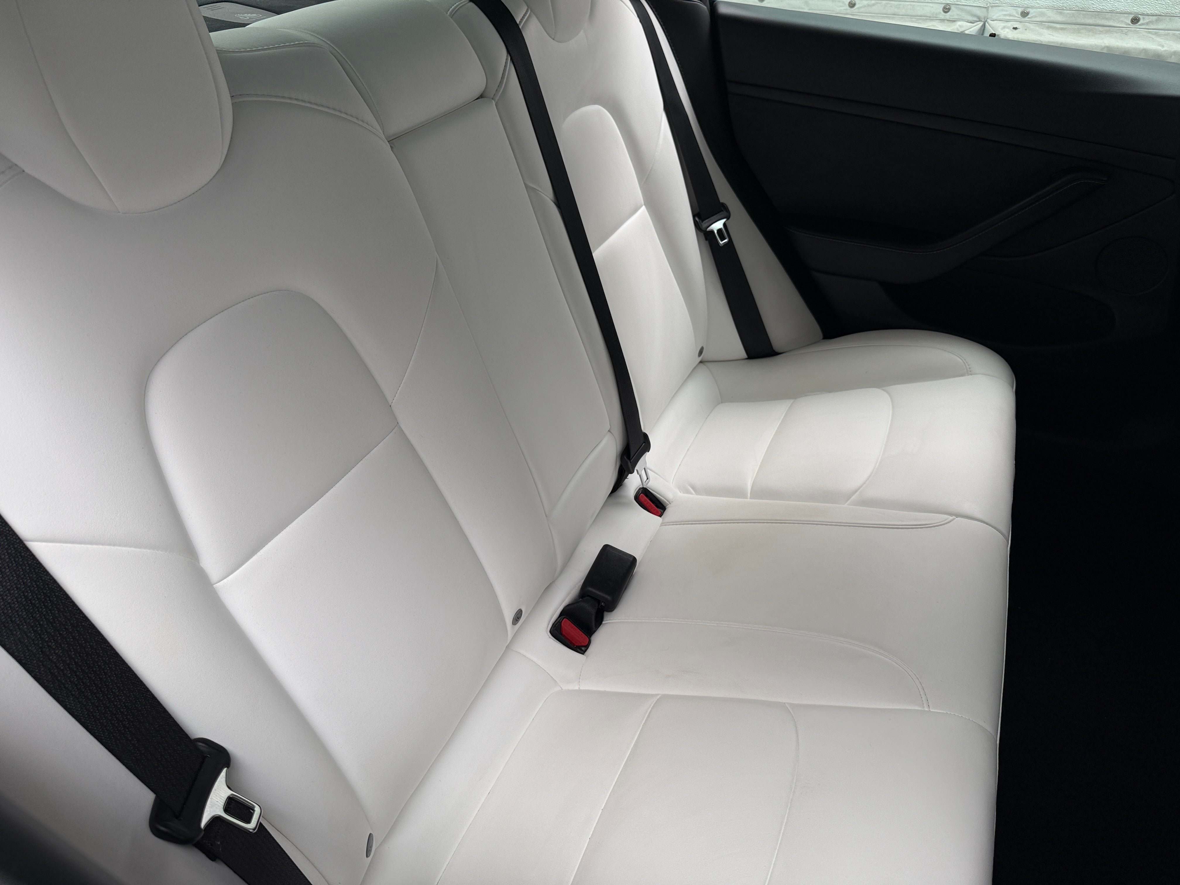 Used 2021 Tesla Model 3 Base with VIN 5YJ3E1EAXMF099911 for sale in Auburn, WA