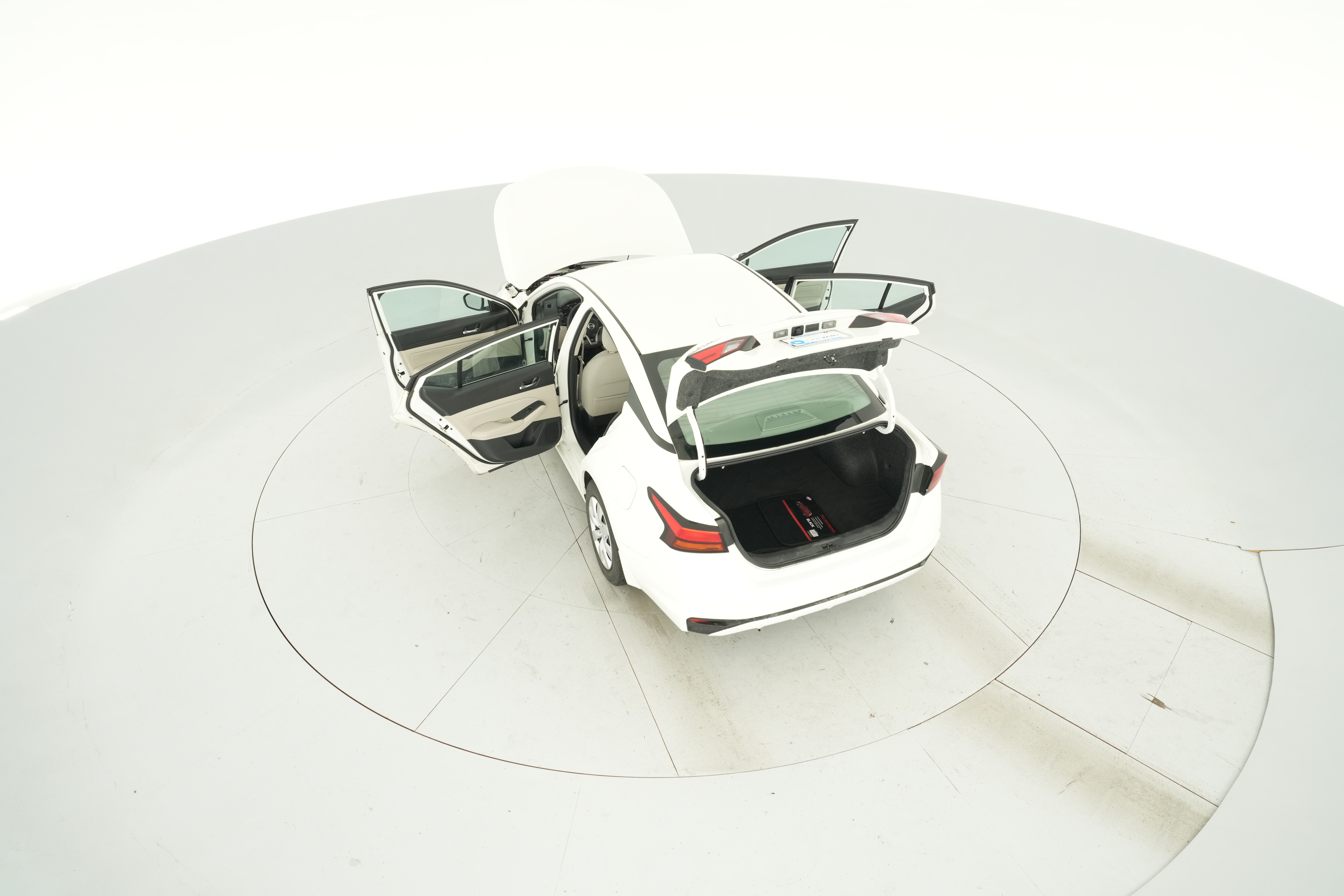 Photo 41