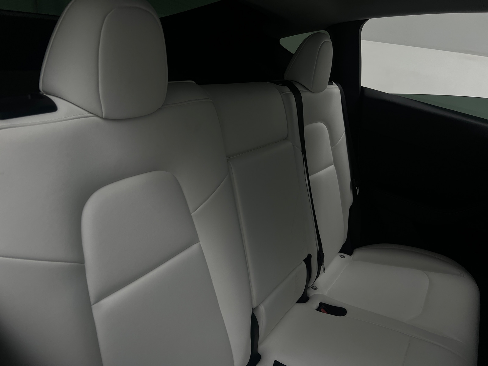 Thumbnail: 2023 Tesla Model Y - 5