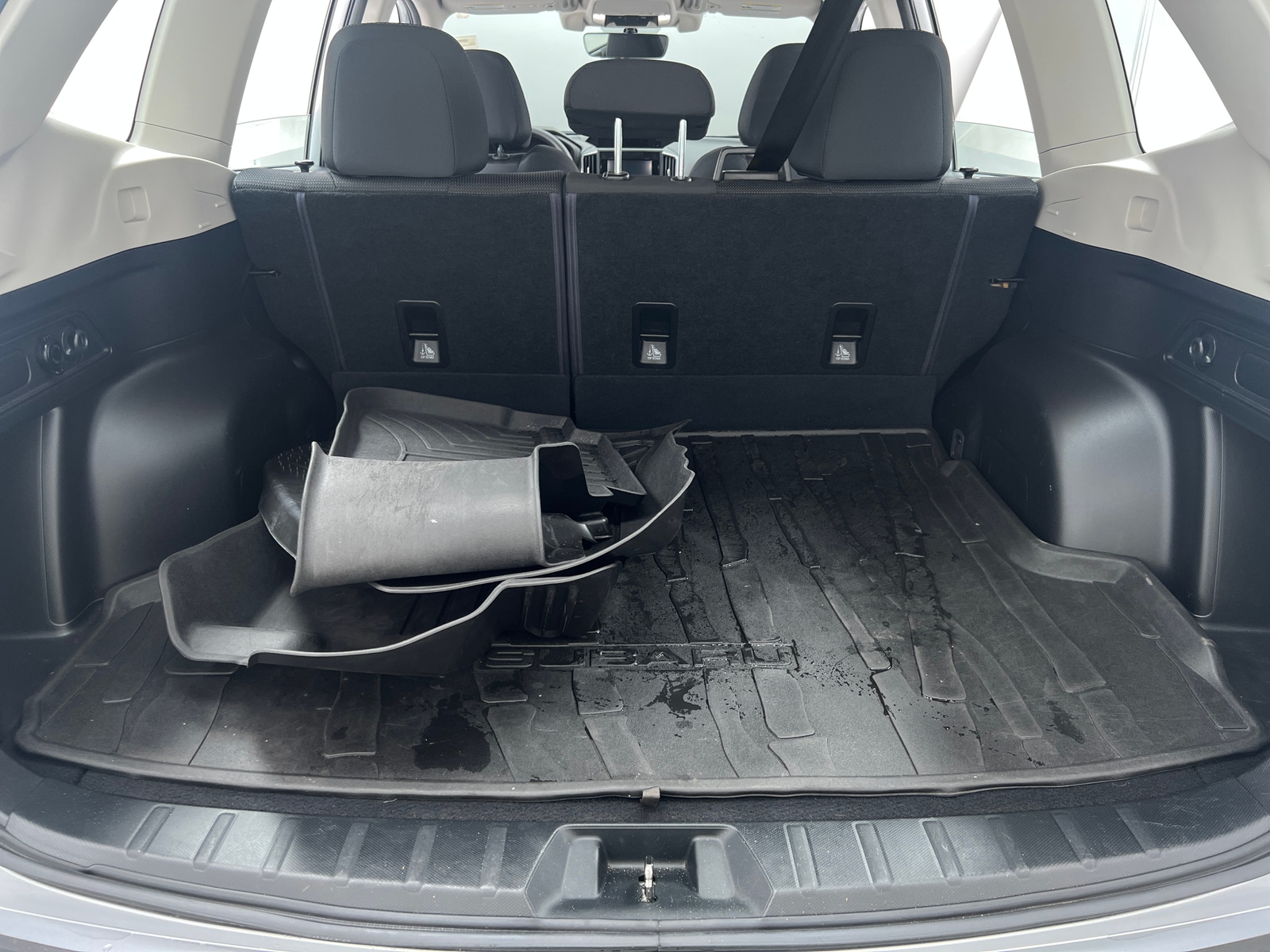 Thumbnail: 2019 Subaru Forester - 7
