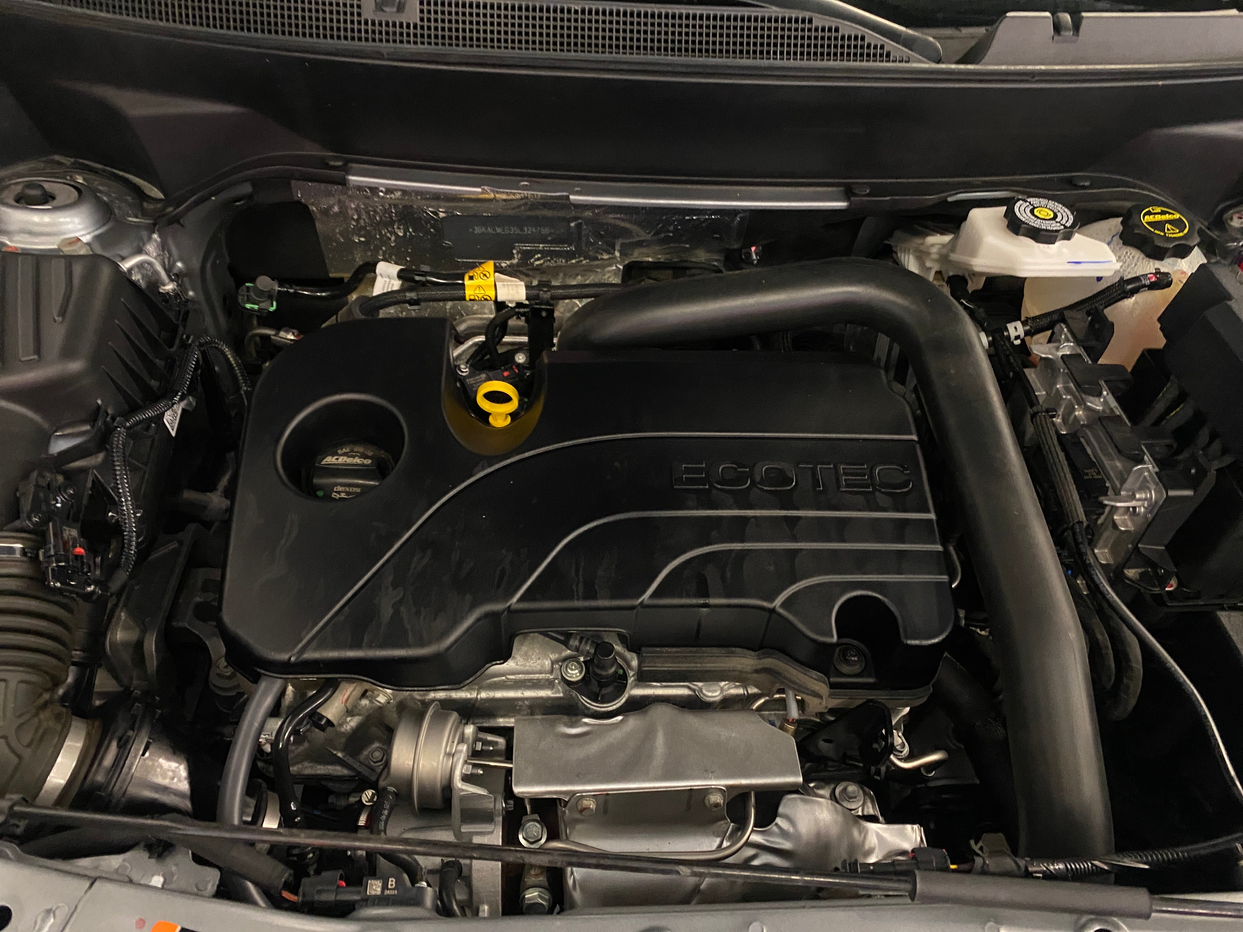 2025 GMC Terrain Elevation - Photo 6