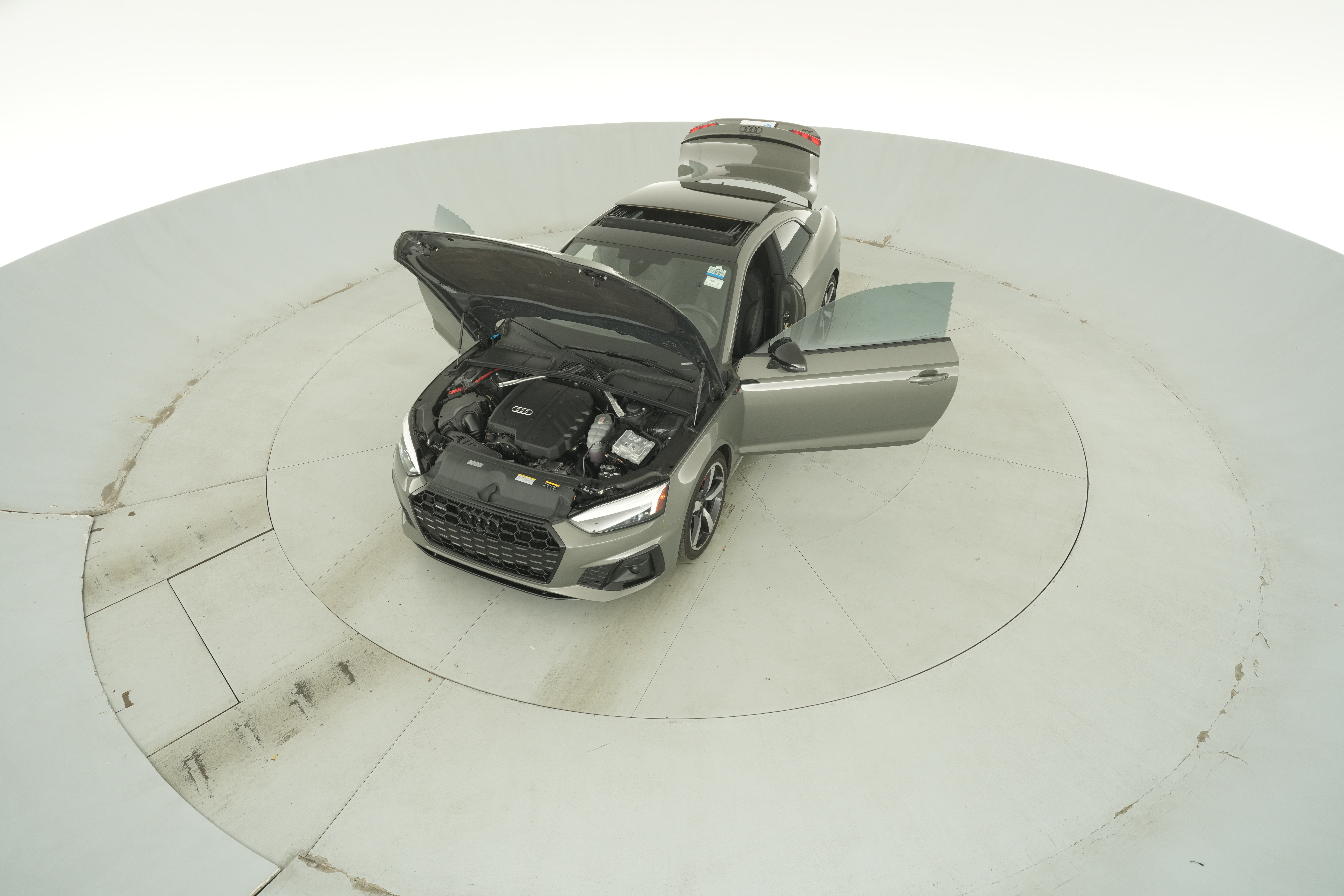 Photo 42