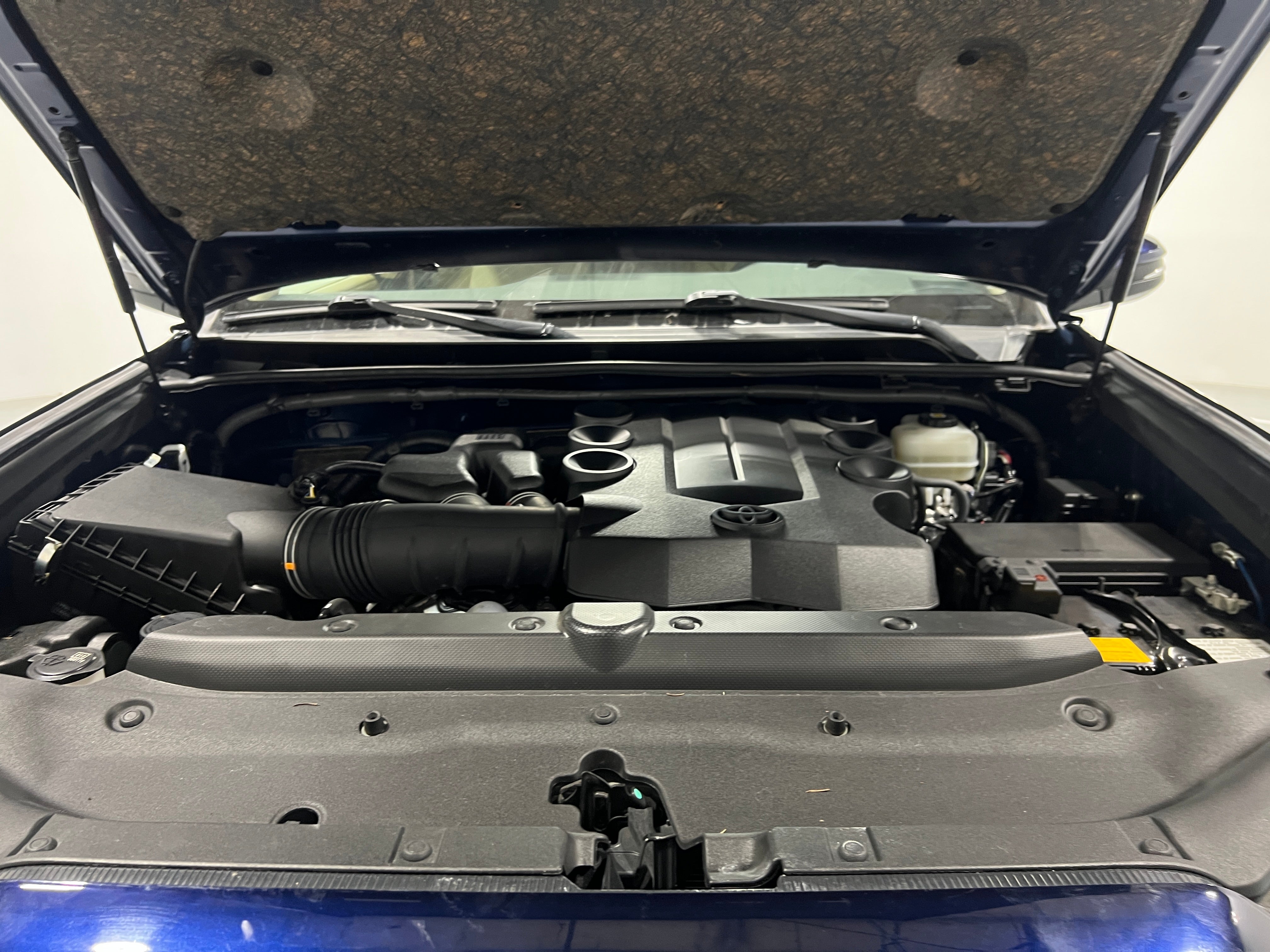 JTENU5JR9M5965061