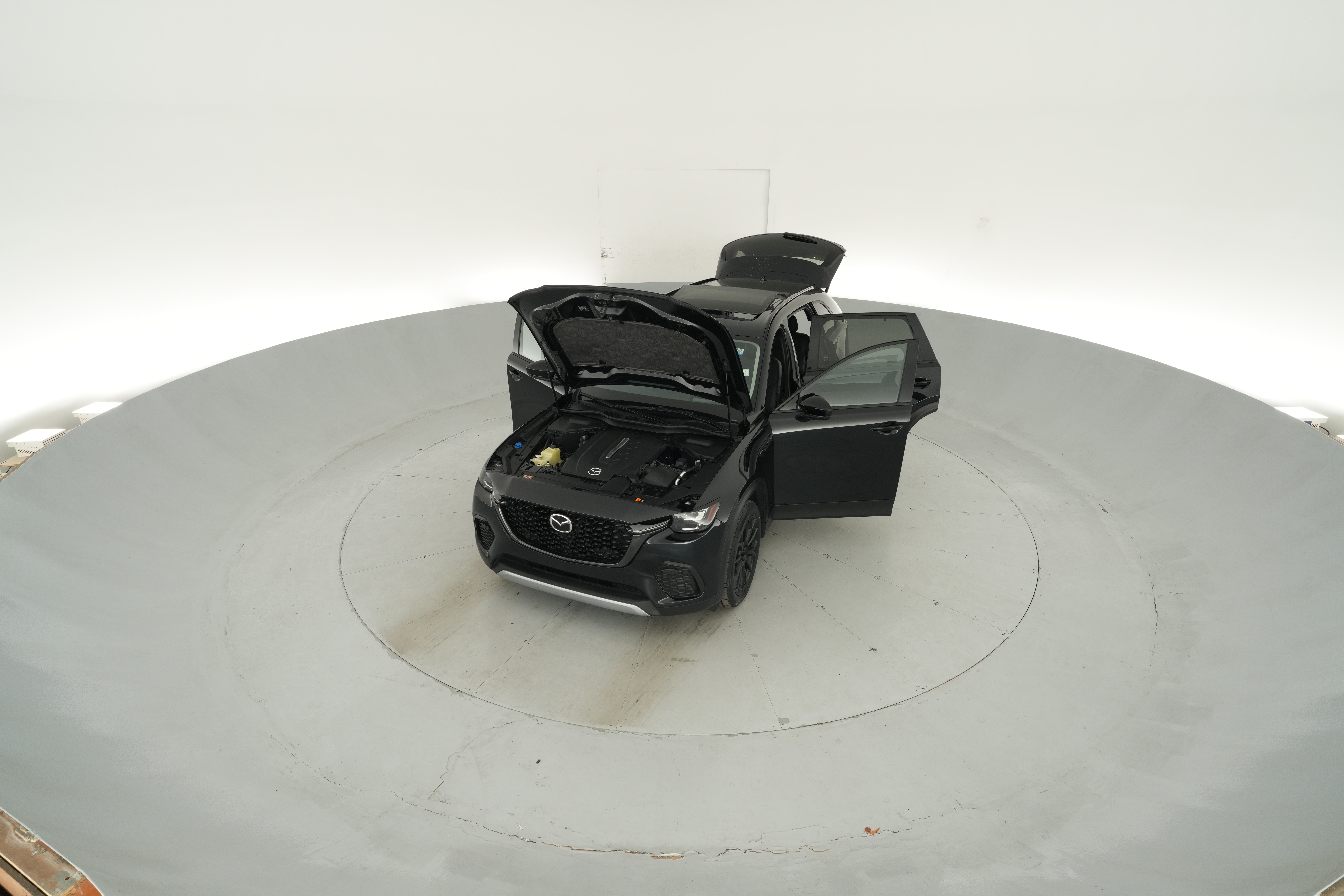 Photo 46