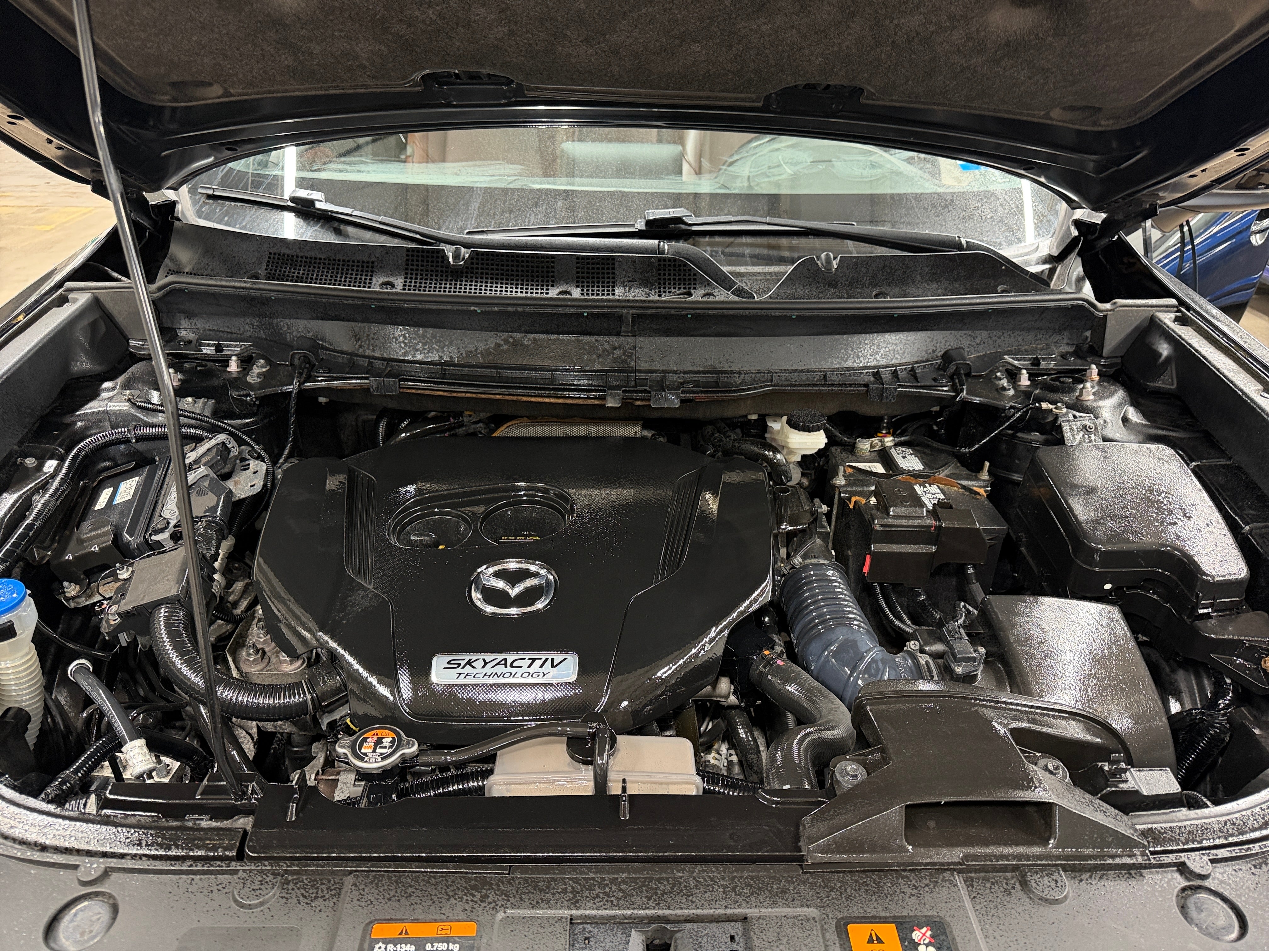 2019 Mazda CX-9