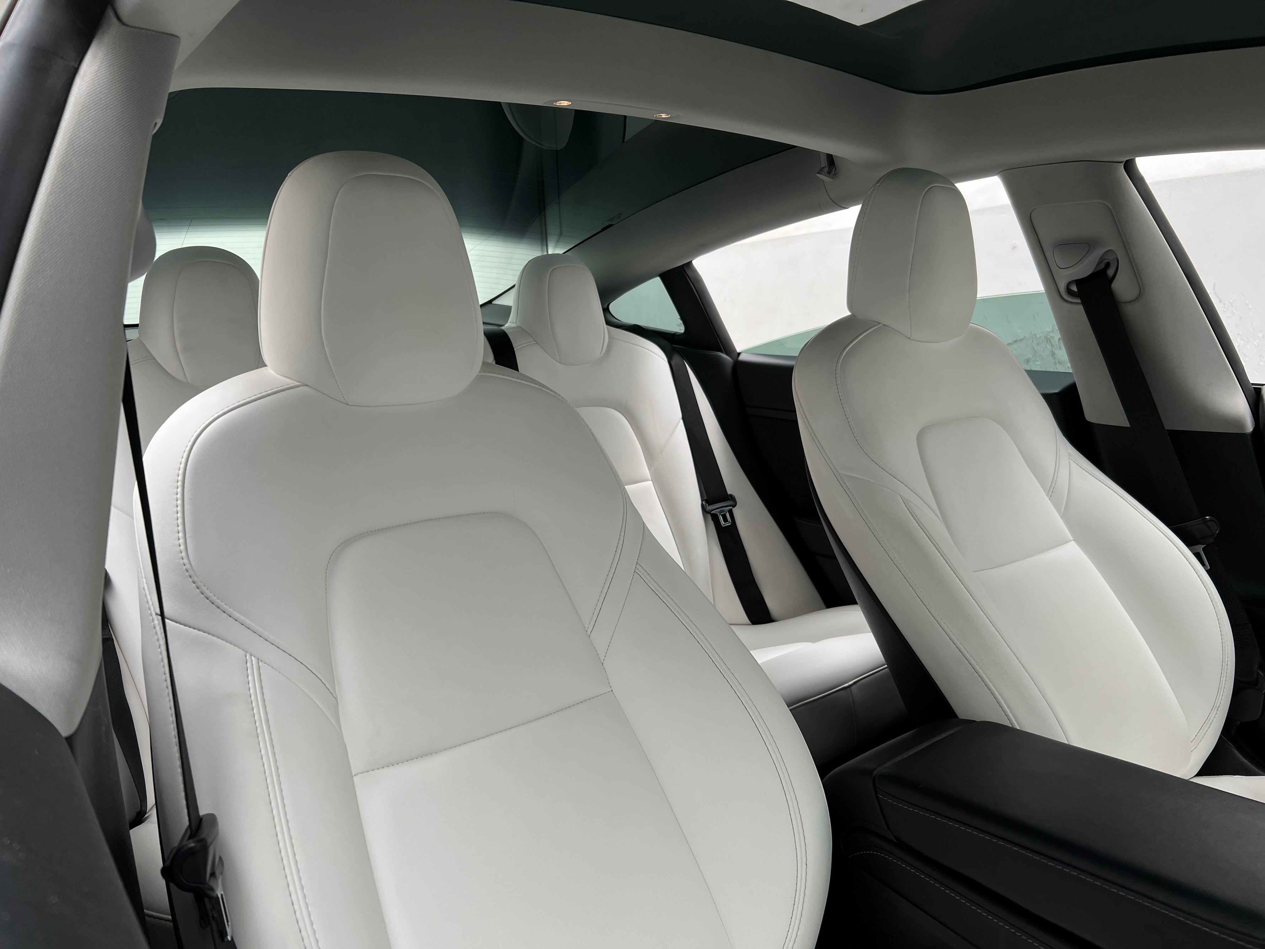 Used 2021 Tesla Model 3 Base with VIN 5YJ3E1EA1MF978455 for sale in Auburn, WA