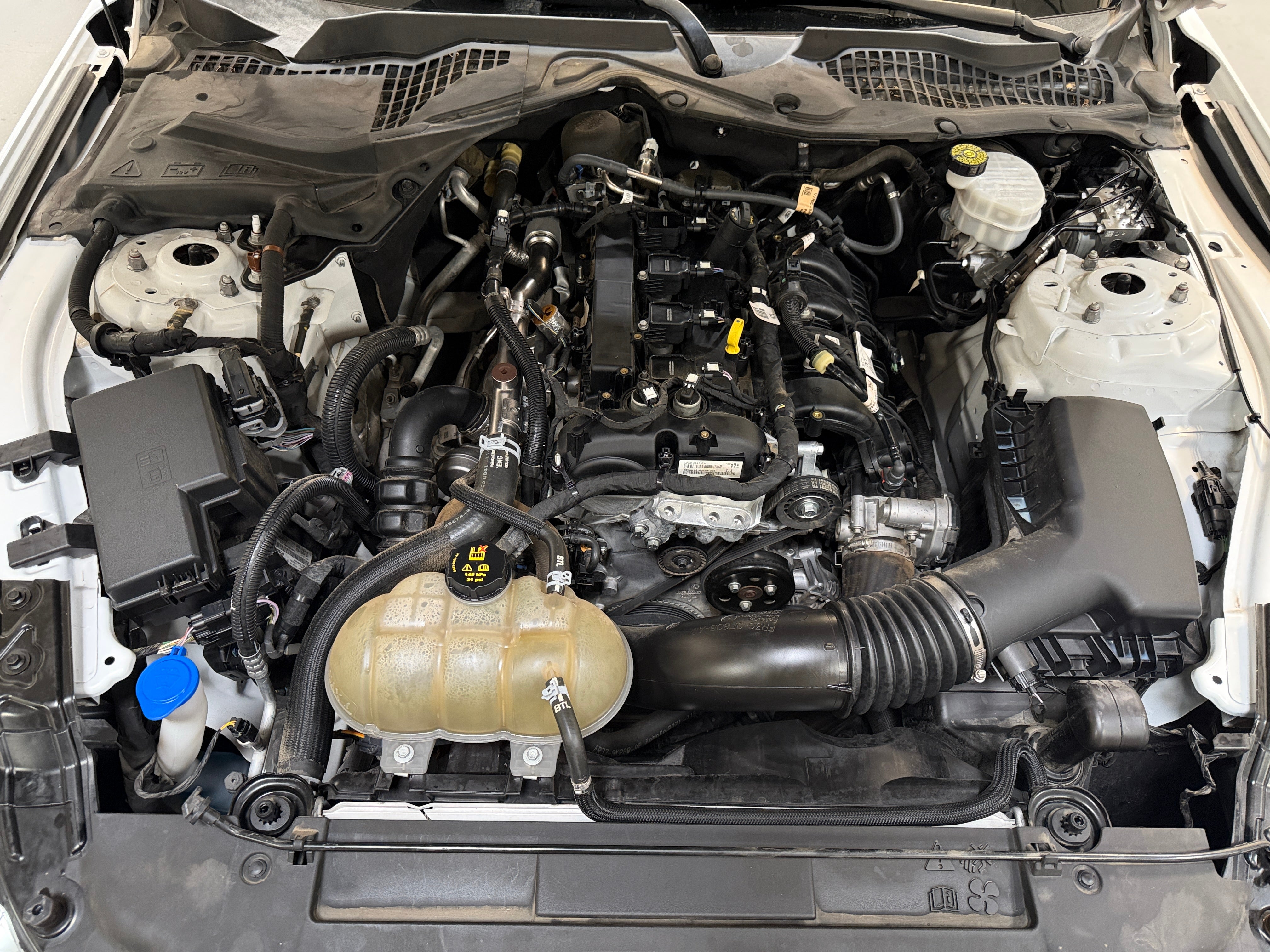 2021 Ford Mustang EcoBoost