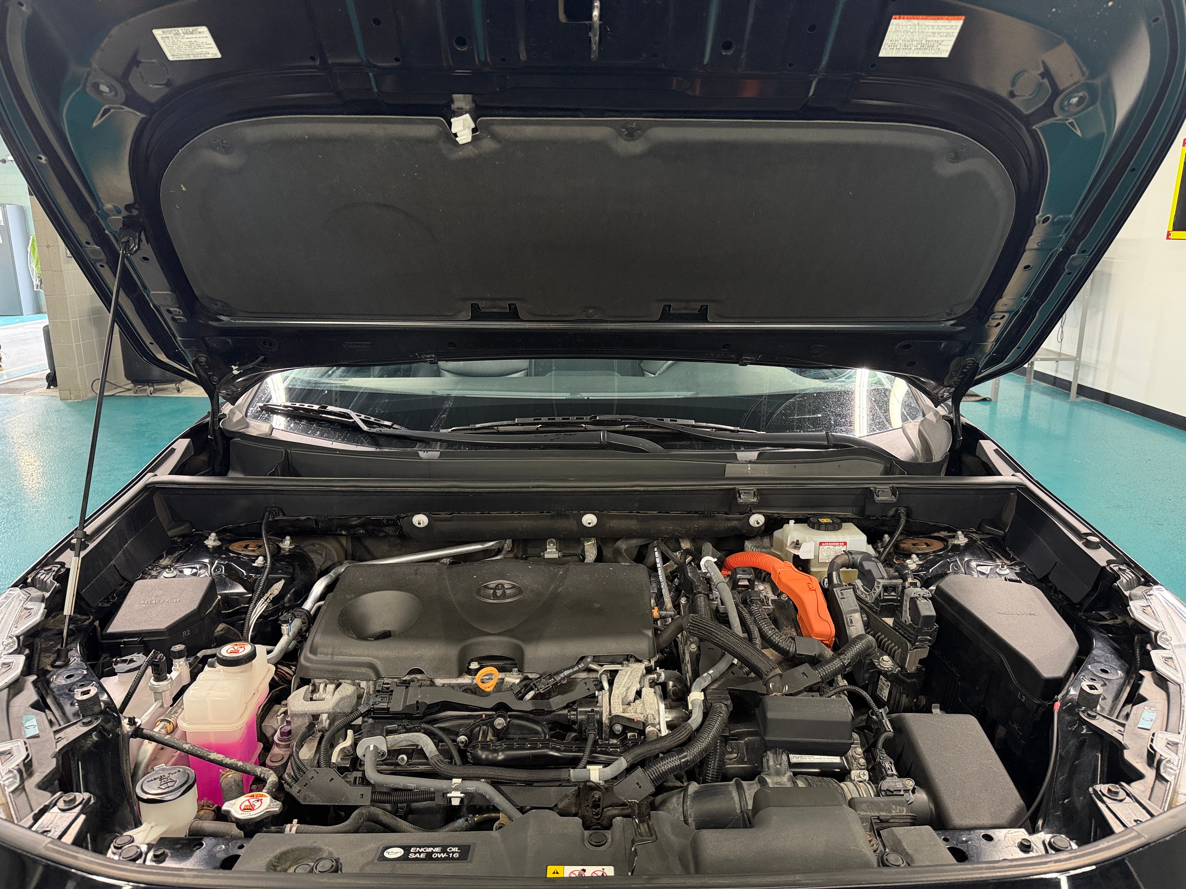 2019 Toyota RAV4 Limited - Photo 3