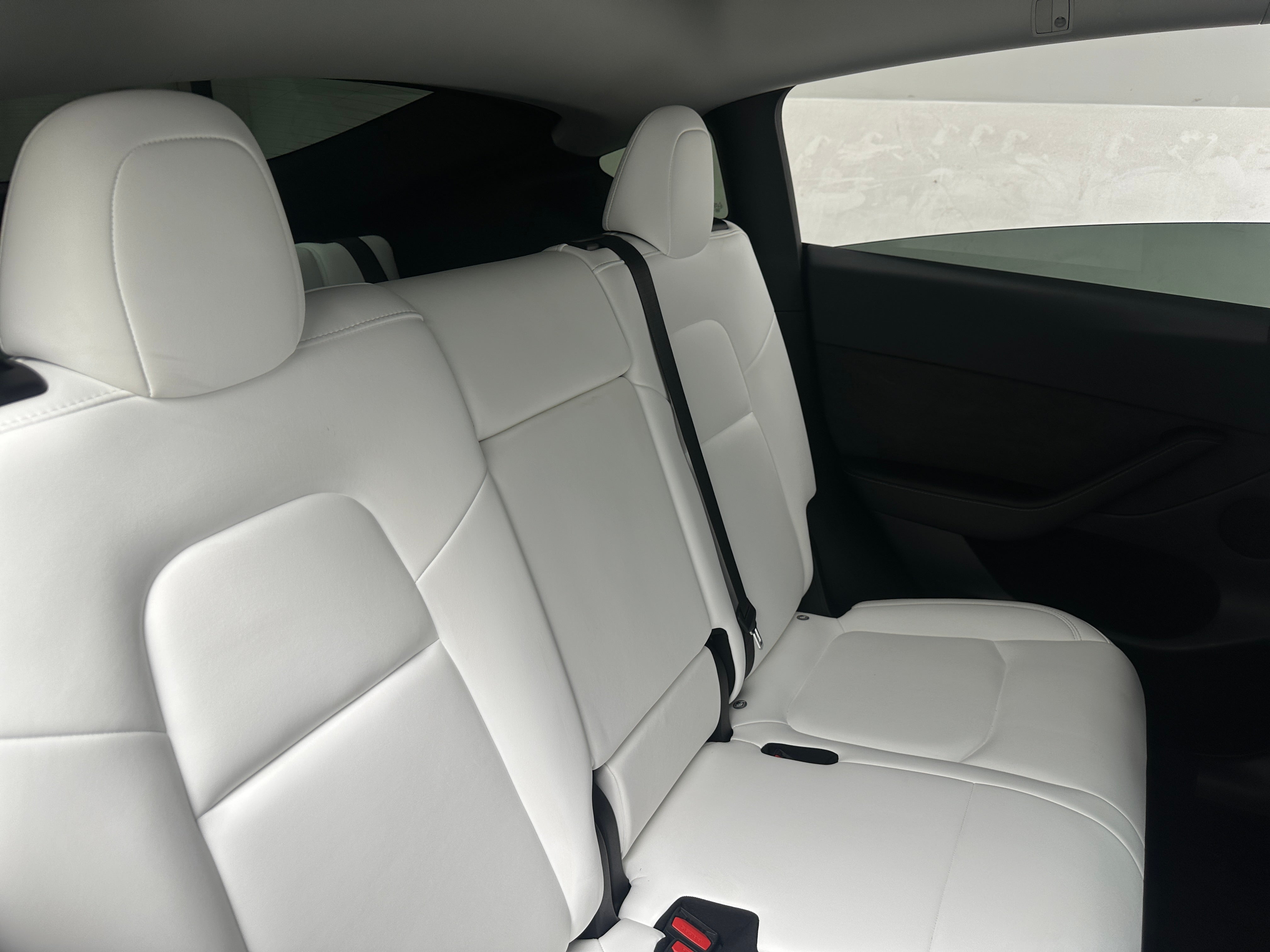 Used 2024 Tesla Model Y Long Range with VIN 7SAYGAEE6RF159826 for sale in Auburn, WA
