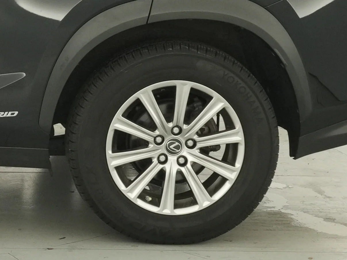 Photo 16