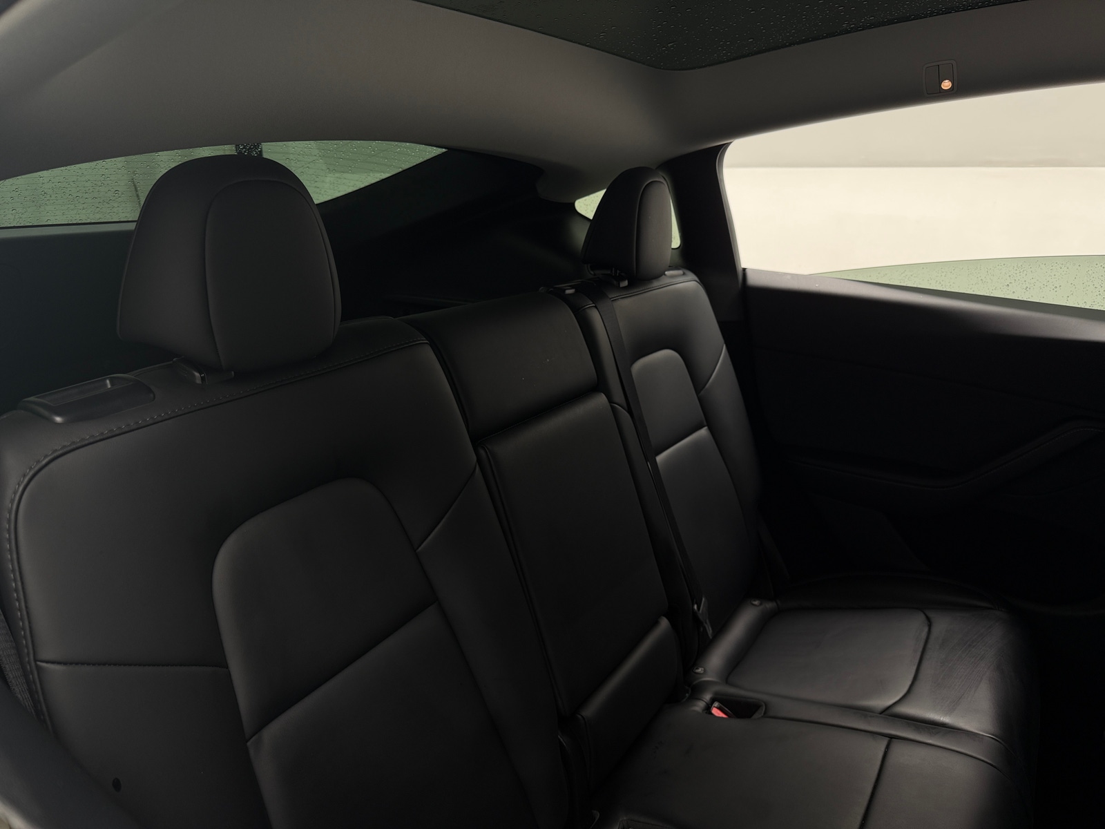 Thumbnail: 2024 Tesla Model Y - 5