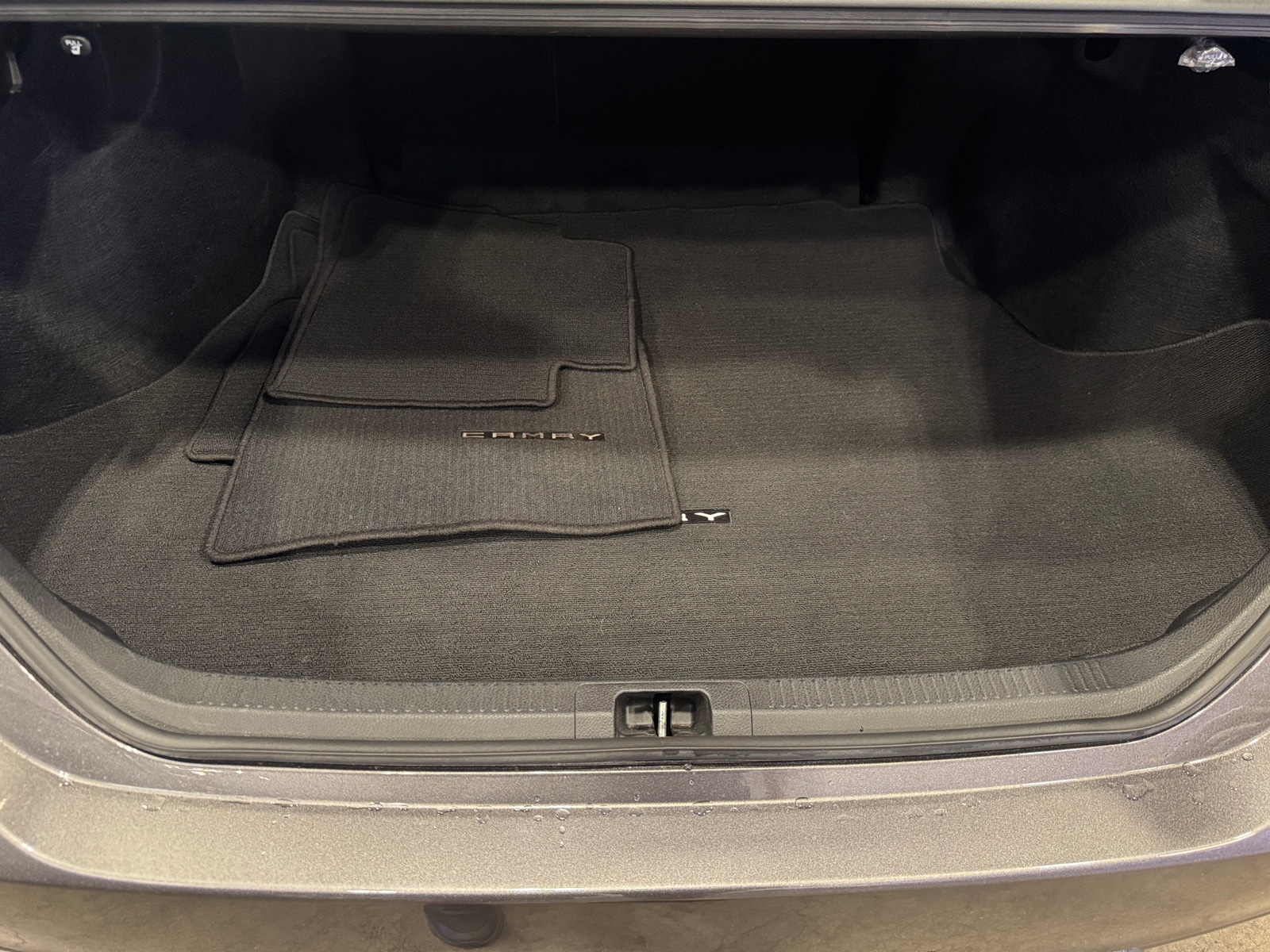 Thumbnail: 2019 Toyota Camry - 7