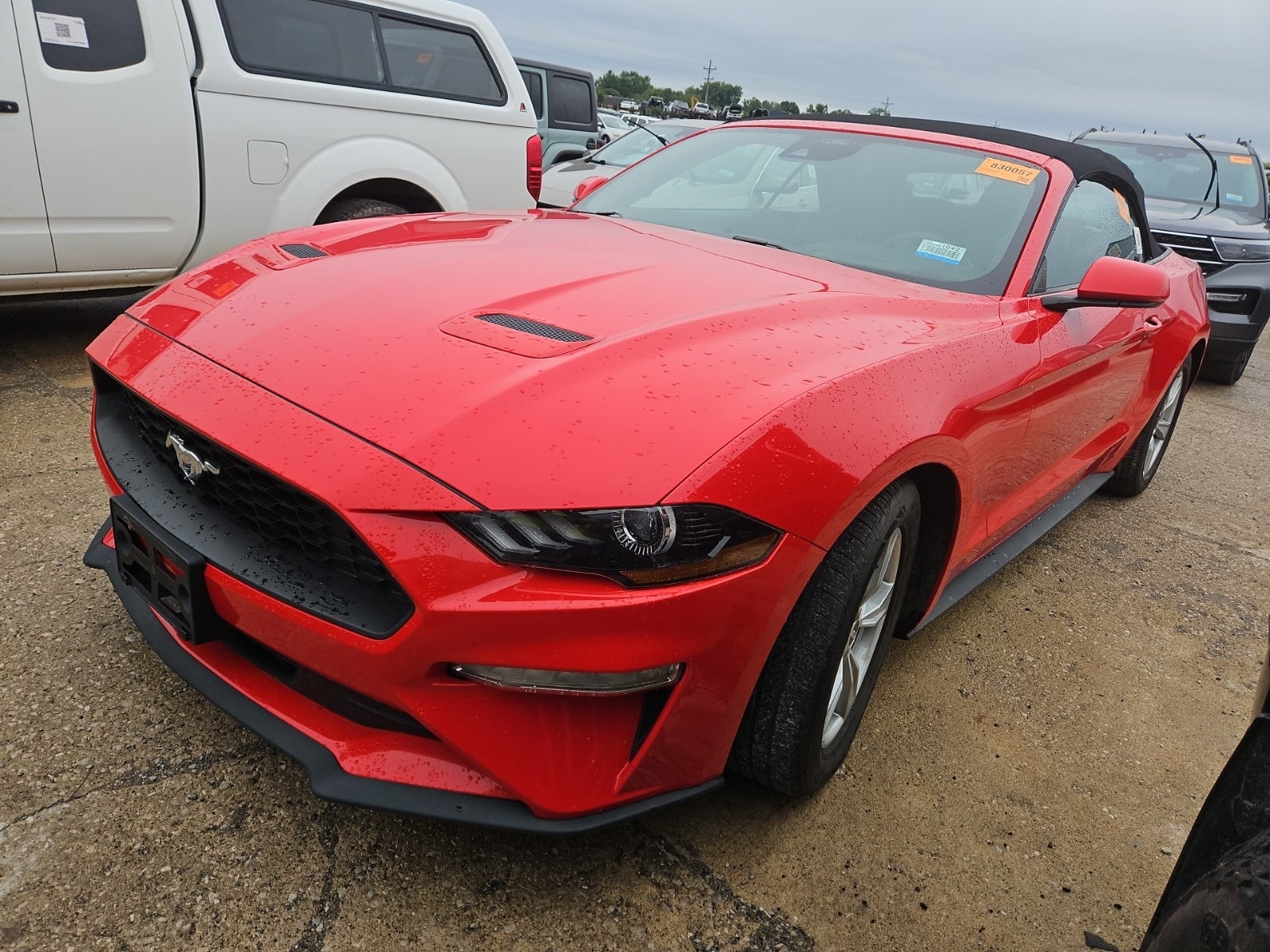 2022 Ford Mustang Ecoboost